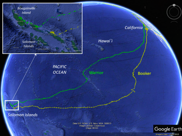 Booker and warrior tracks.png