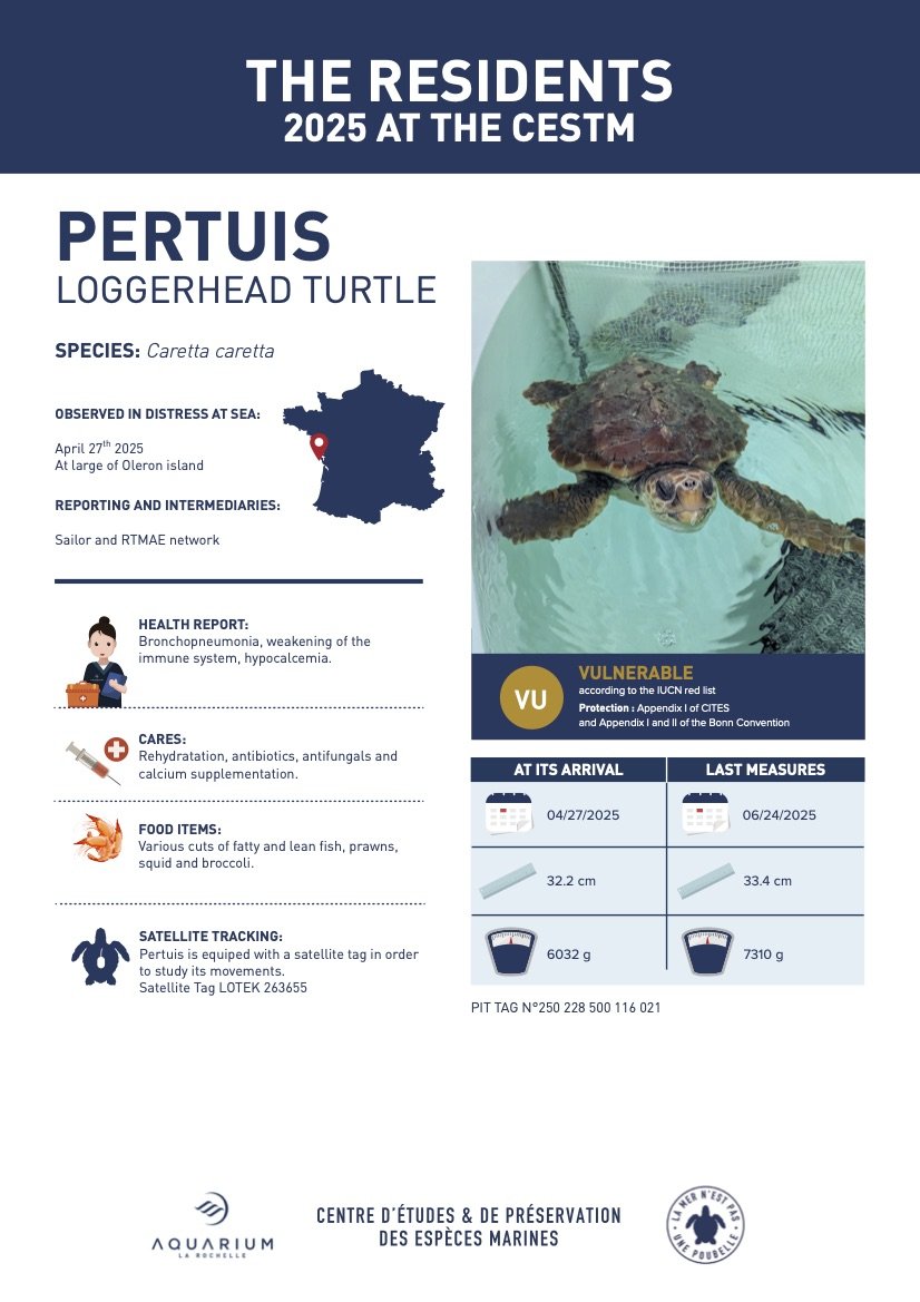 Retour à l'Océan 2025 V2 ENG 1.jpg
