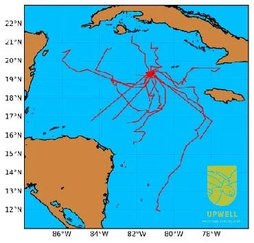 Map showing the trajectories of the tagged turtles