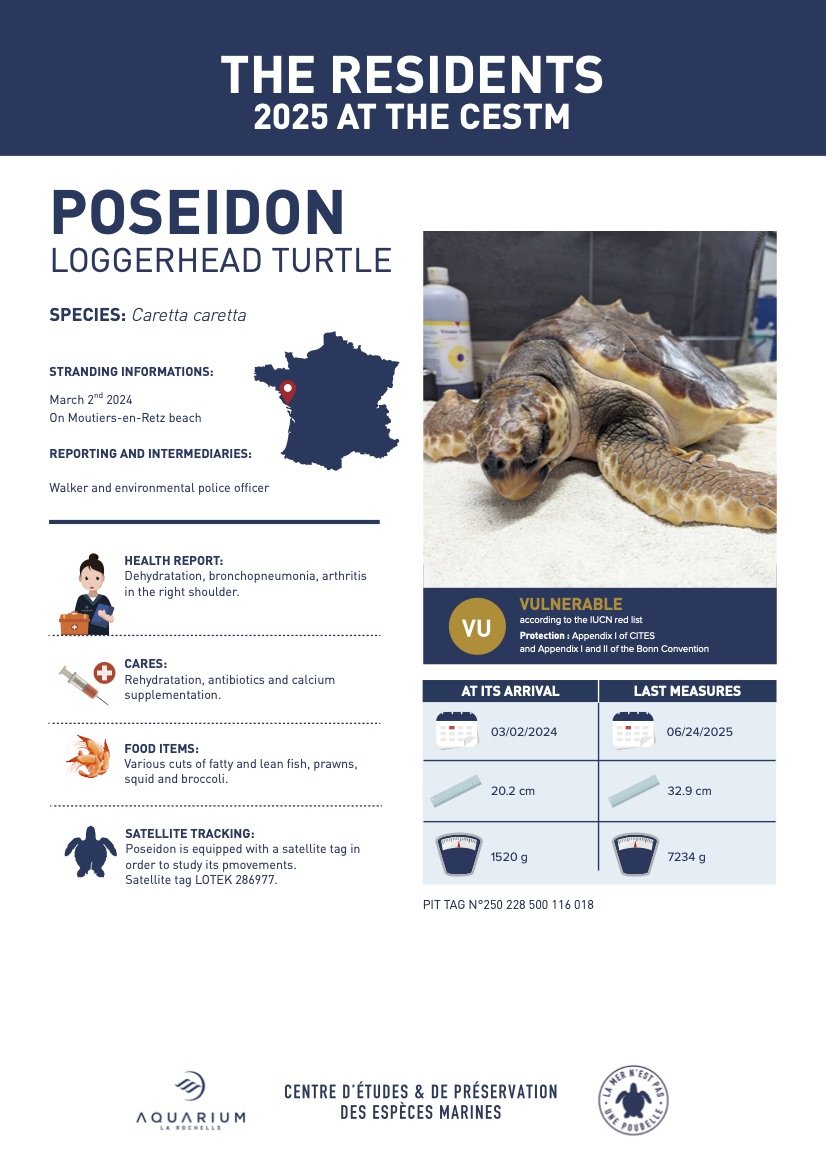 Retour à l'Océan 2025 V2 ENG4.jpg