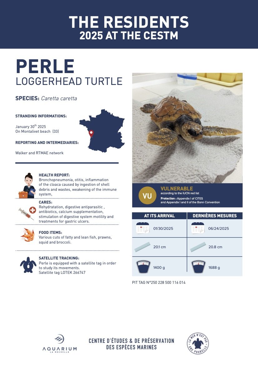 Retour à l'Océan 2025 V2 ENG3.jpg