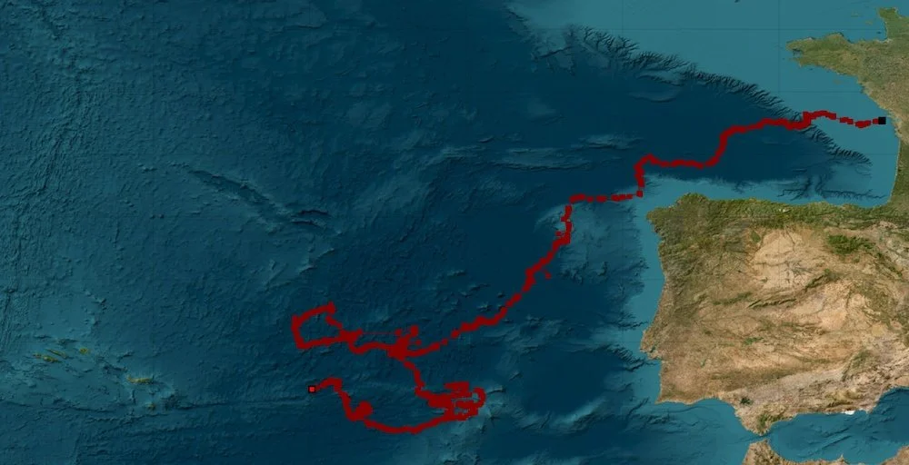 Figure_supp_DARWIN_traj_and_earth_final (1).jpg