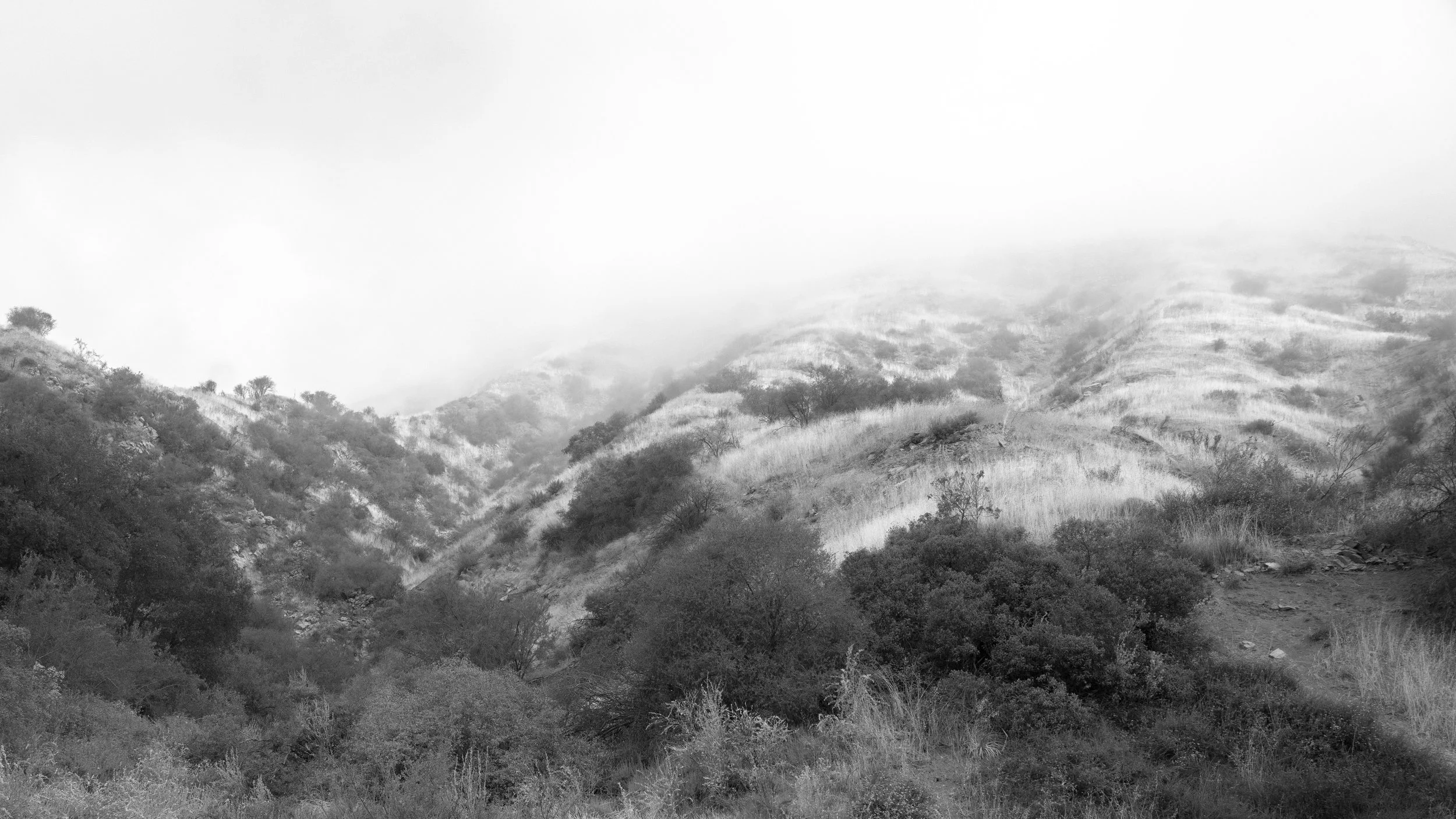 Shelf Rd-2.jpg