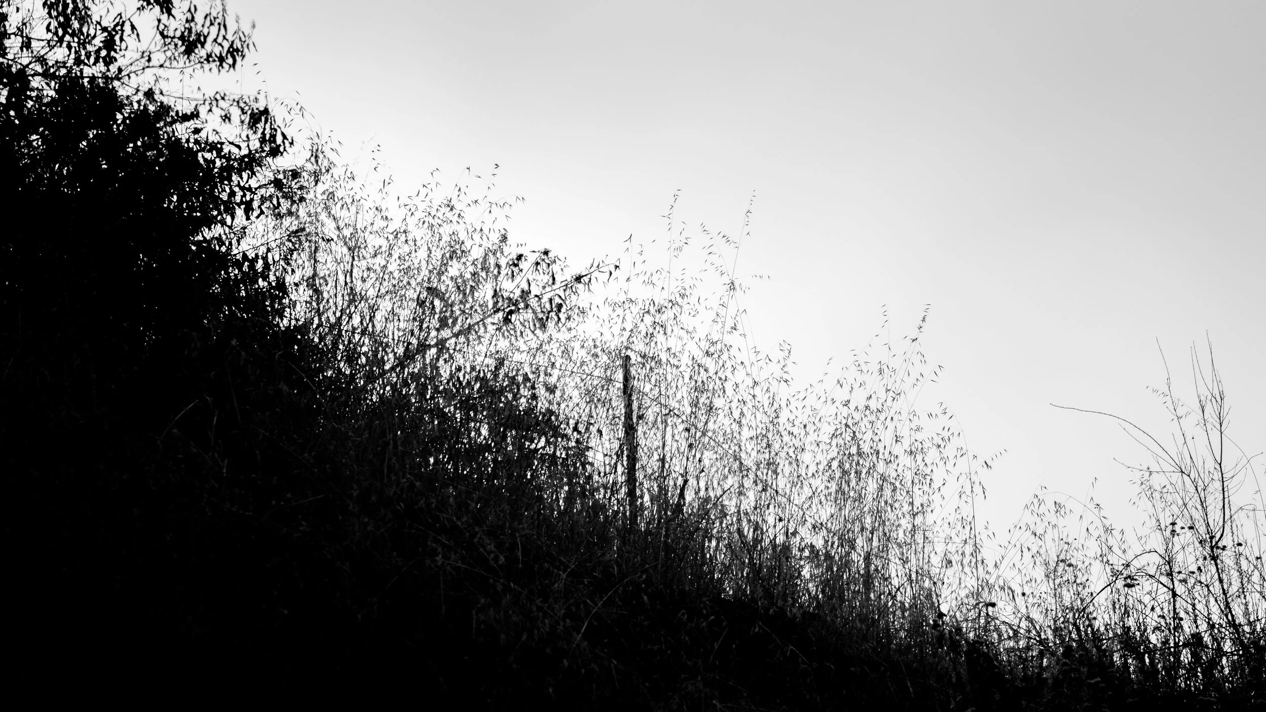 Shelf Rd-14.jpg