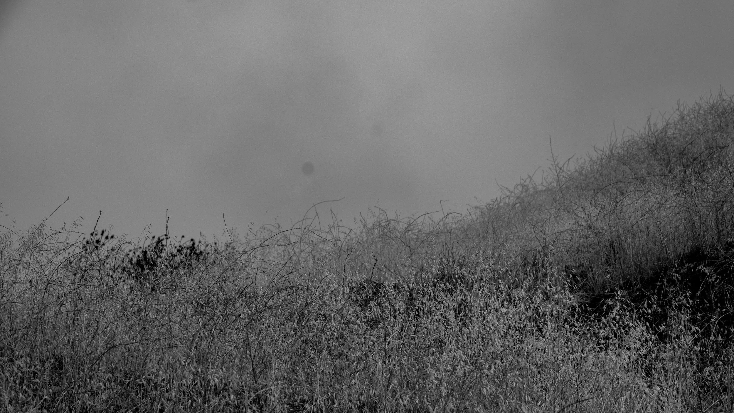 Shelf Rd-17.jpg