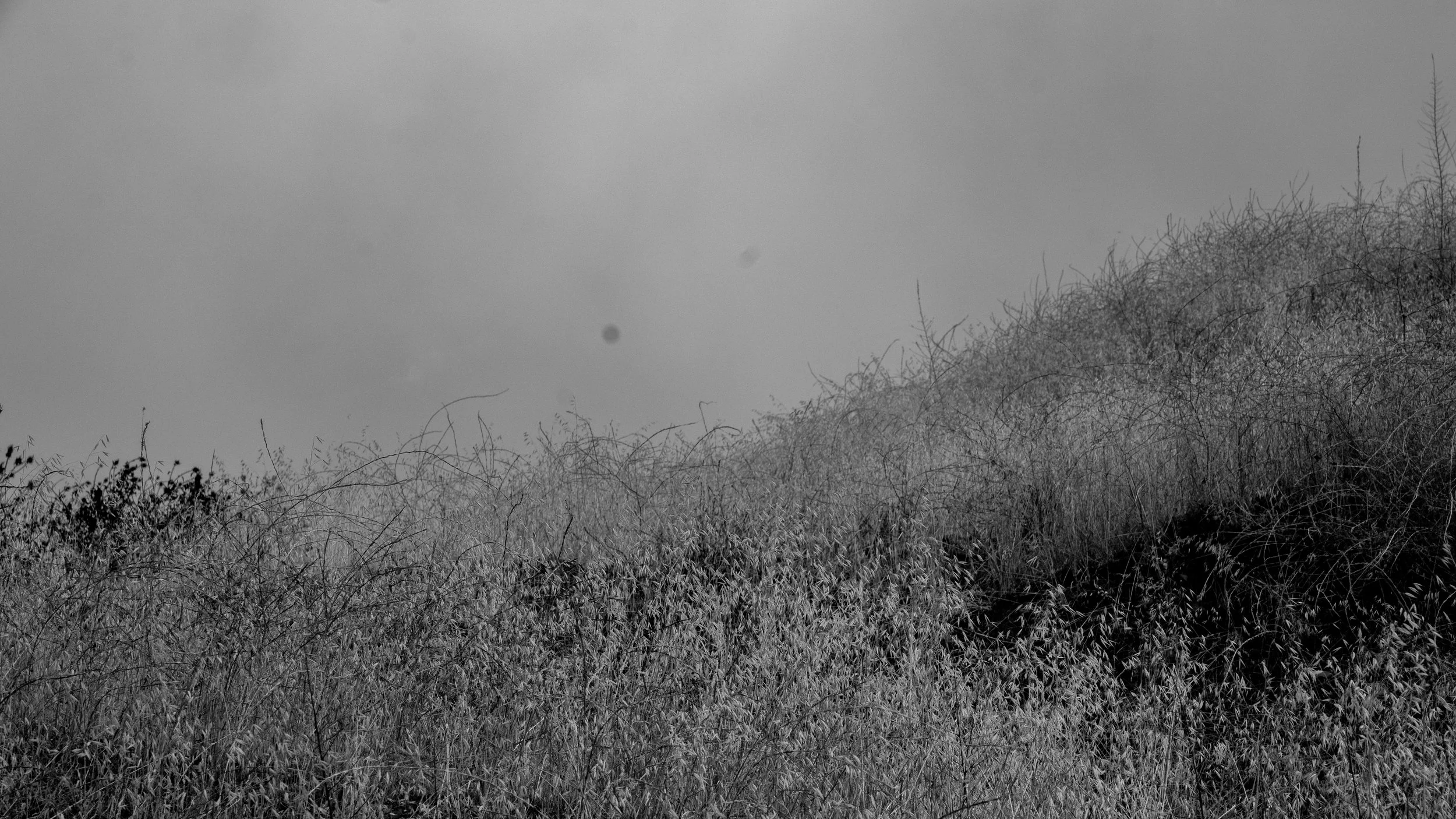Shelf Rd-18.jpg