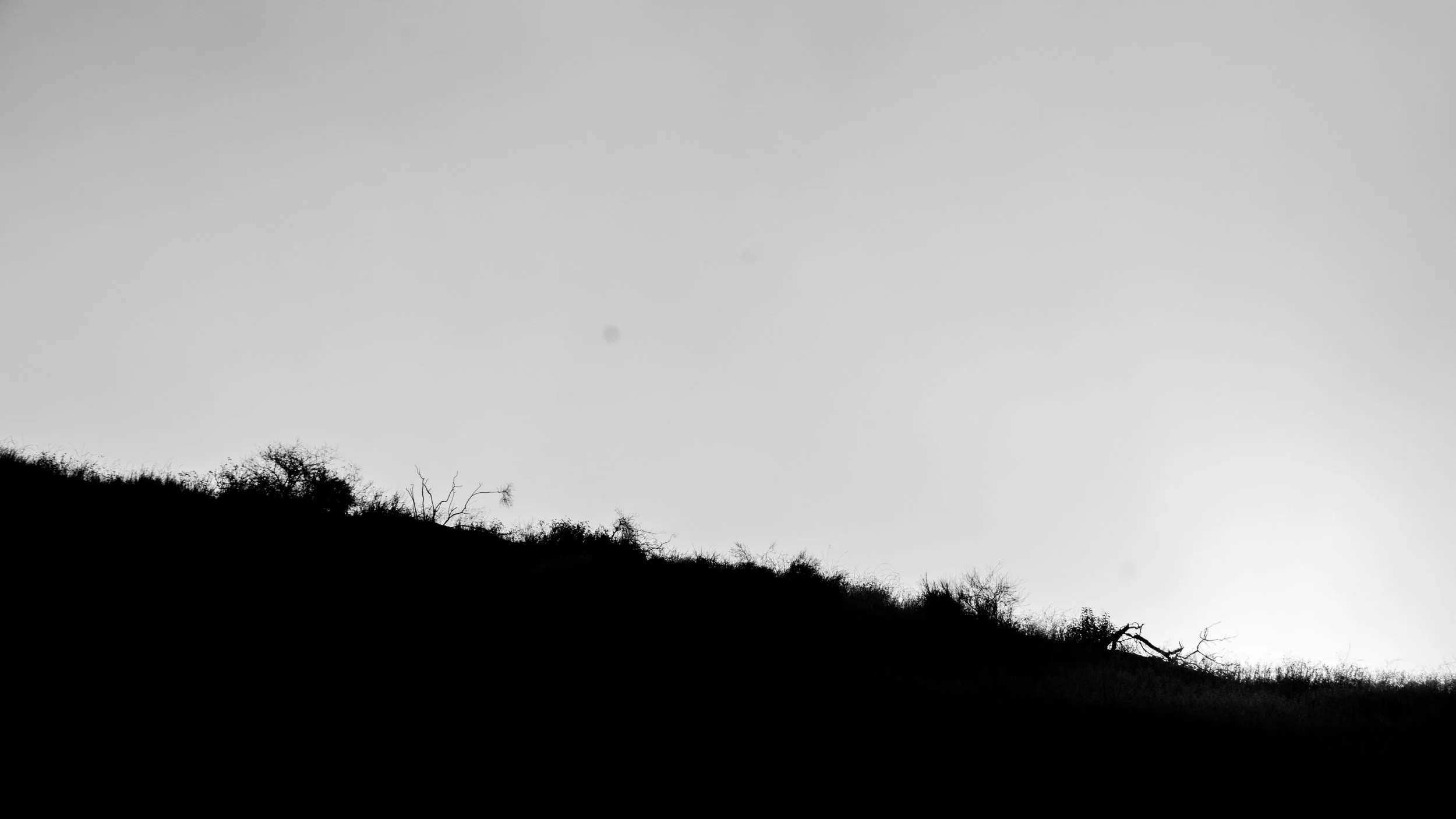 Shelf Rd-25.jpg