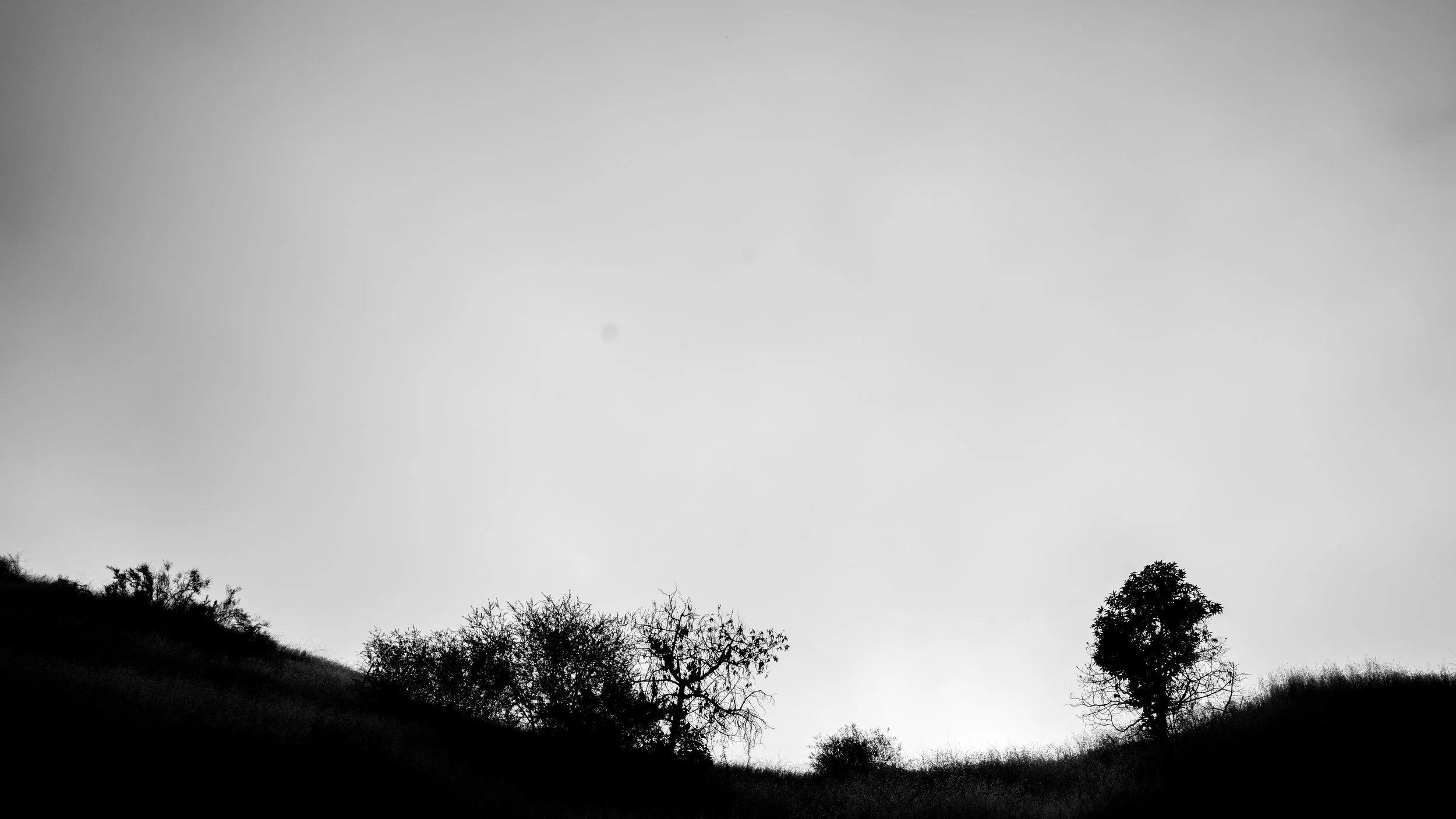Shelf Rd-27.jpg