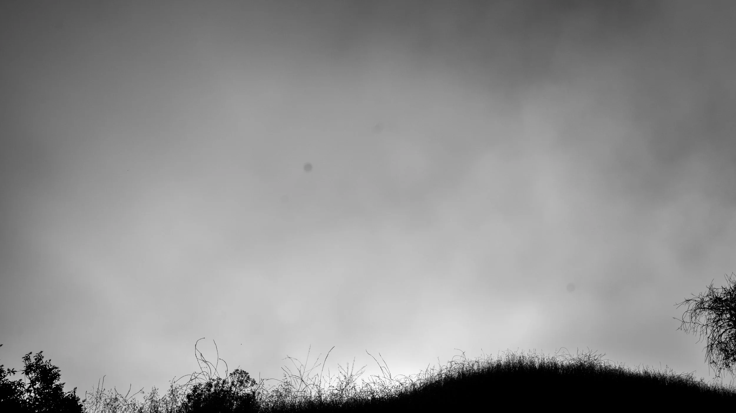 Shelf Rd-28.jpg