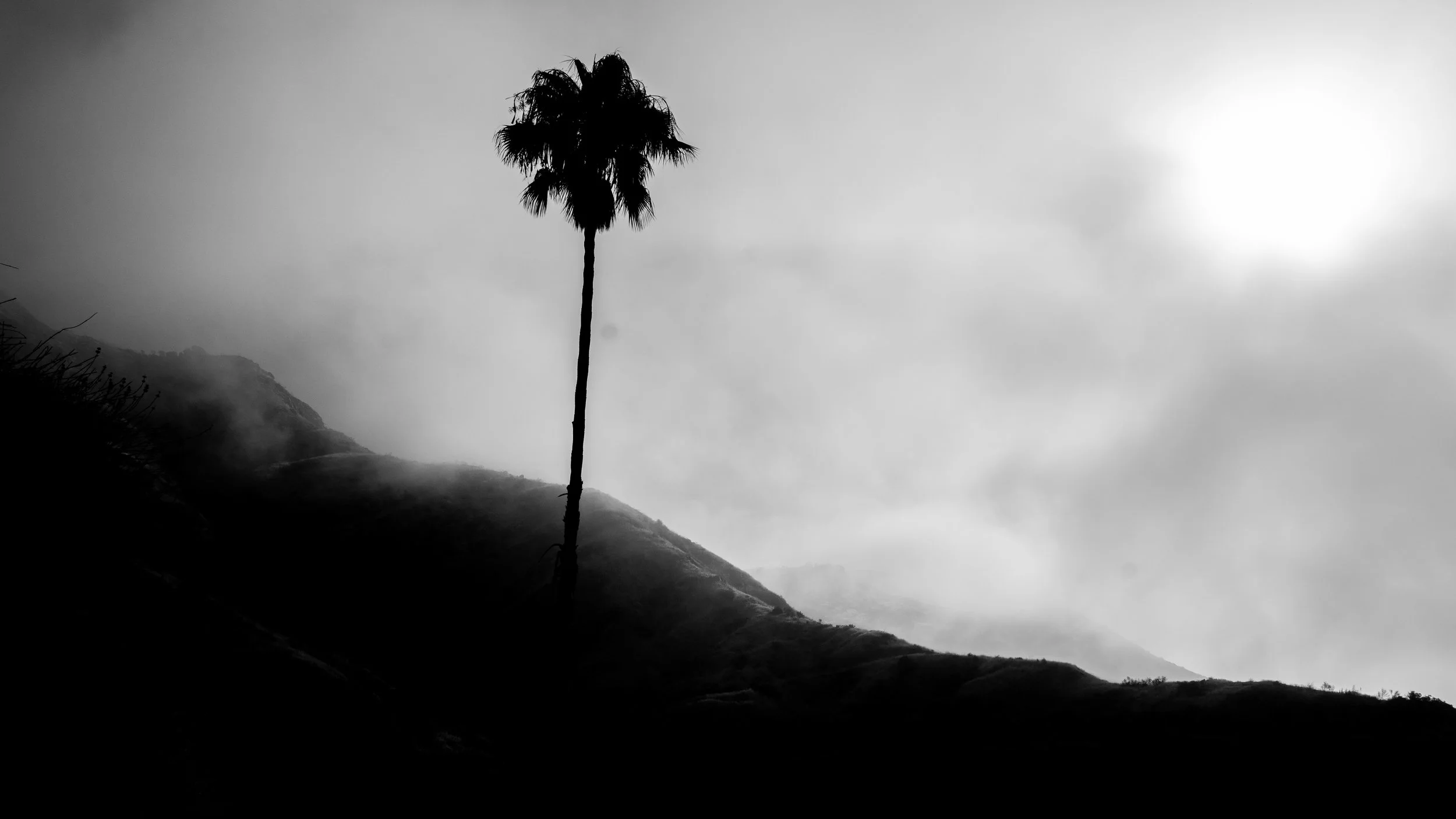 Shelf Rd-34.jpg