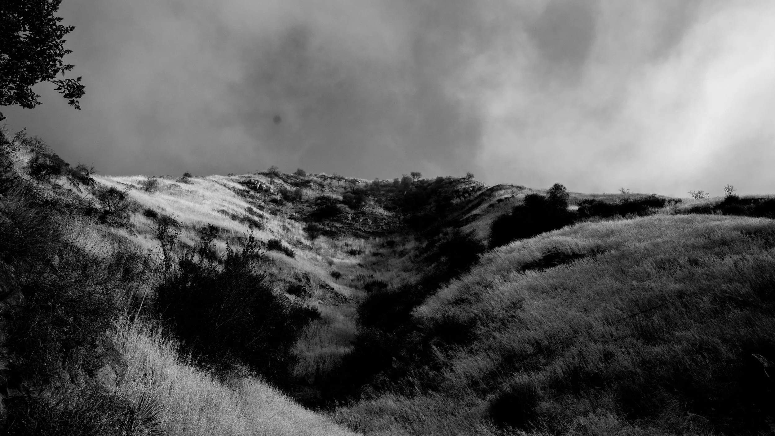 Shelf Rd-35.jpg