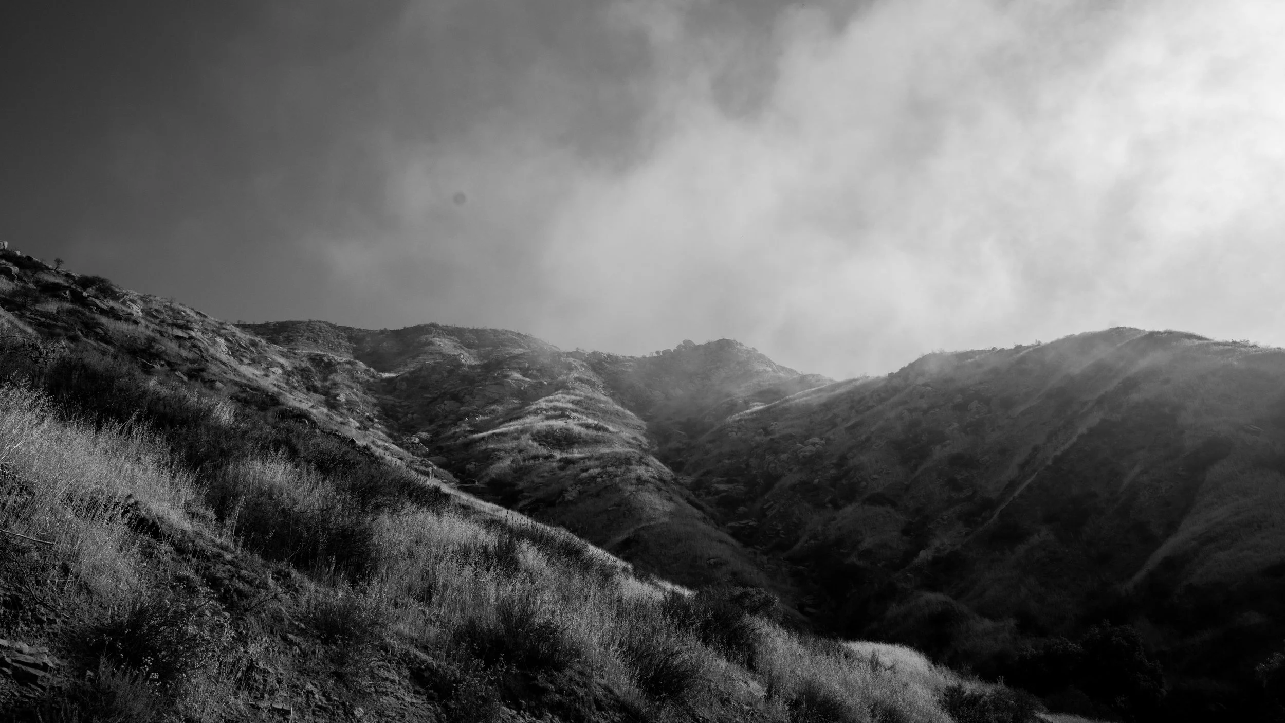 Shelf Rd-46.jpg