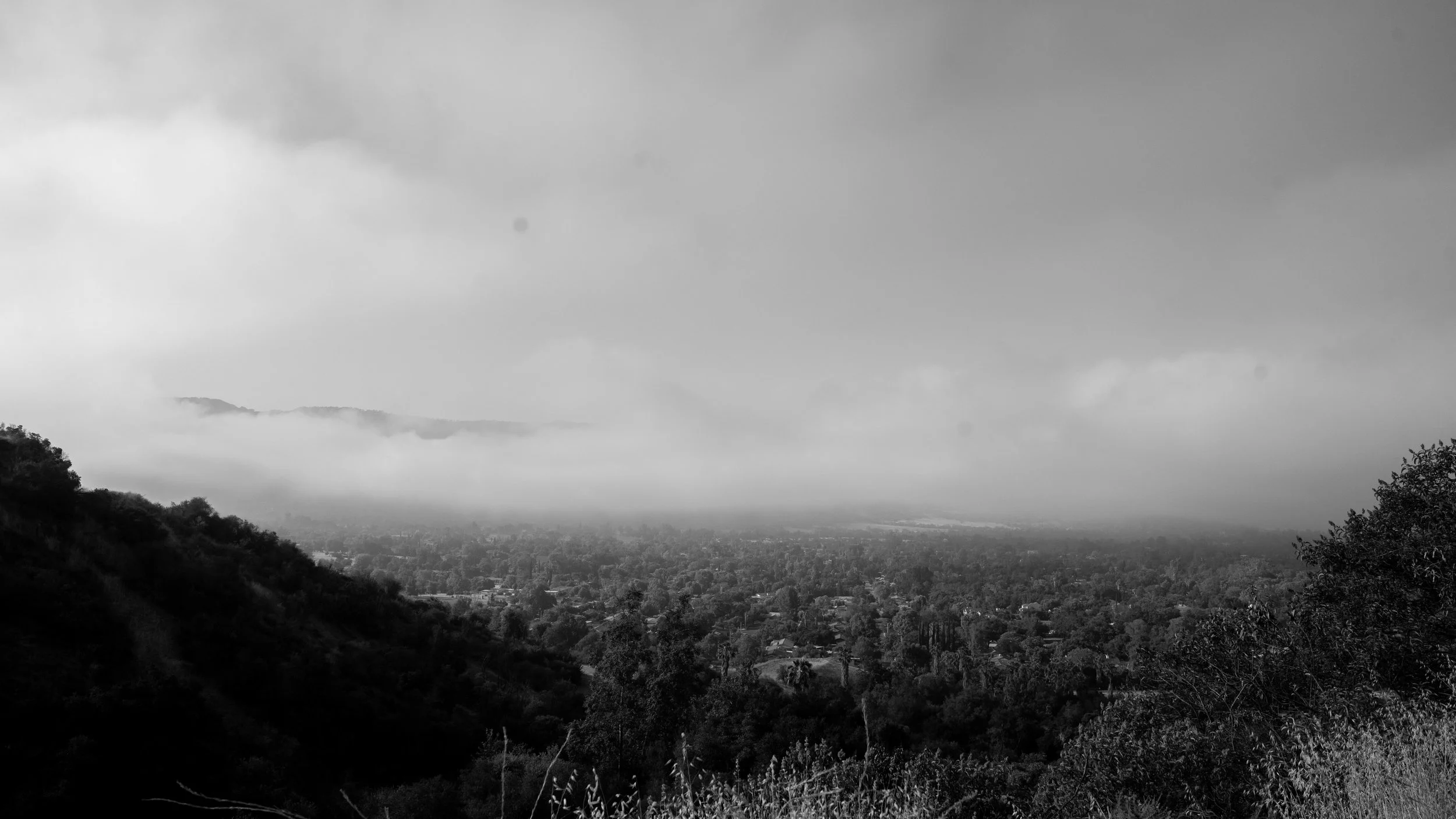 Shelf Rd-48.jpg
