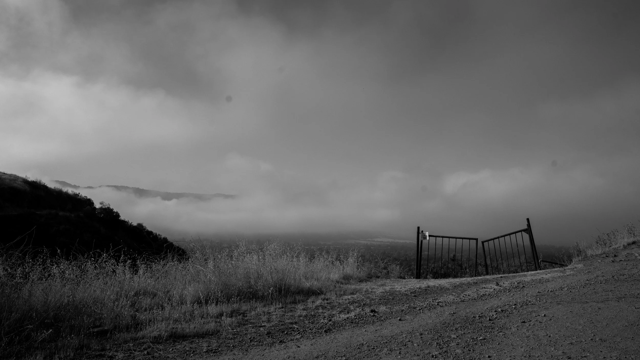 Shelf Rd-50.jpg