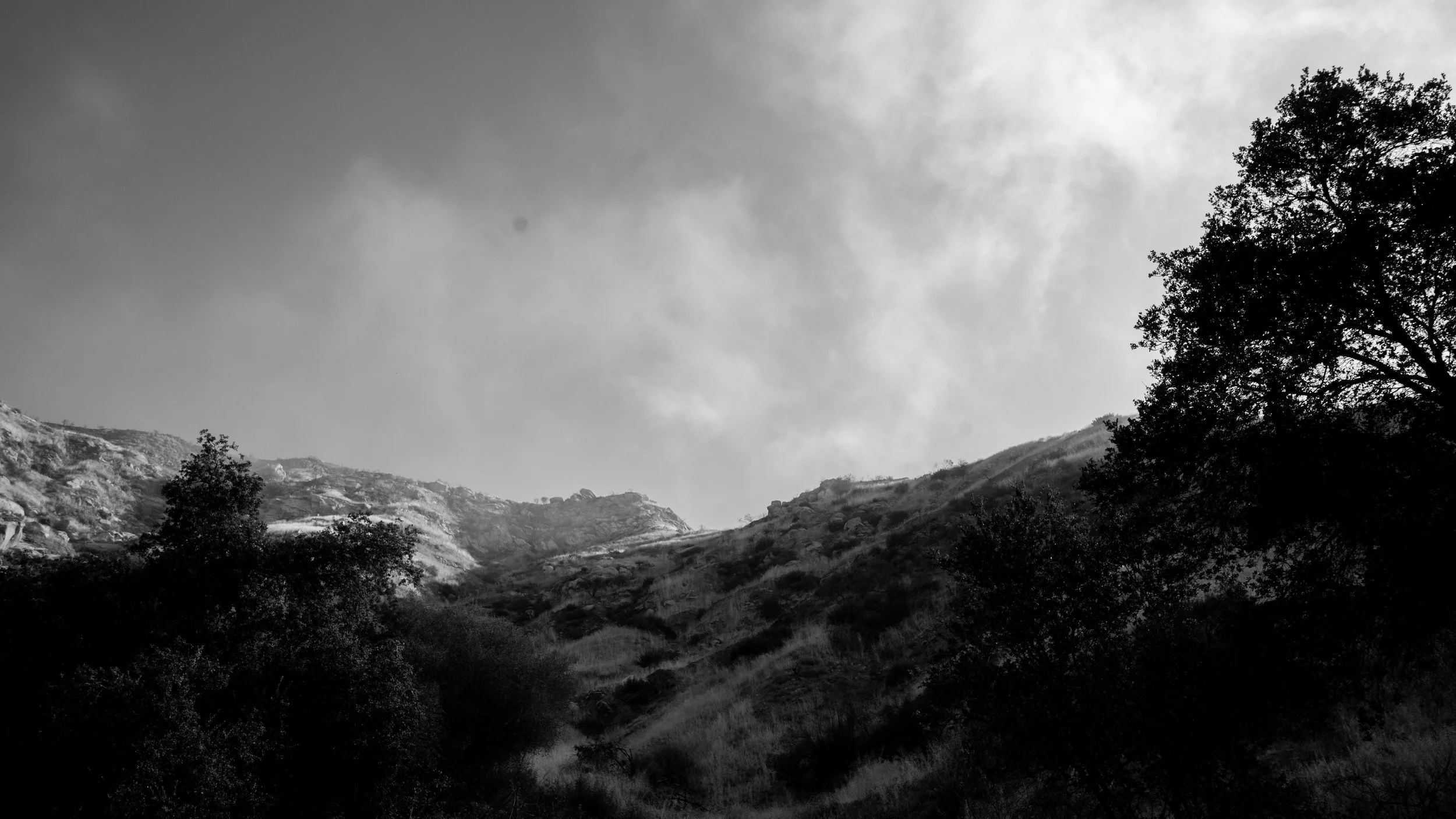 Shelf Rd-51.jpg