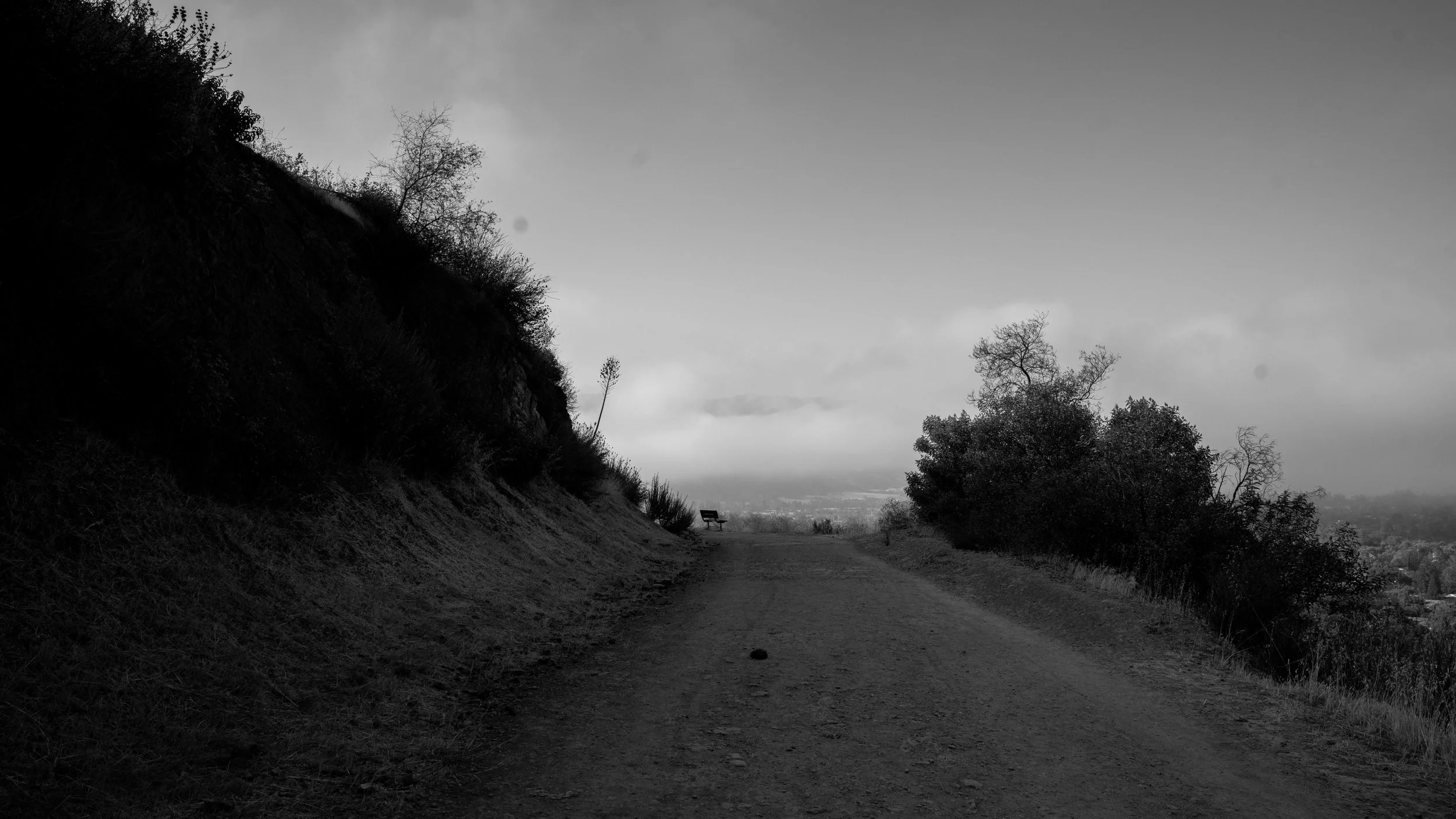 Shelf Rd-58.jpg