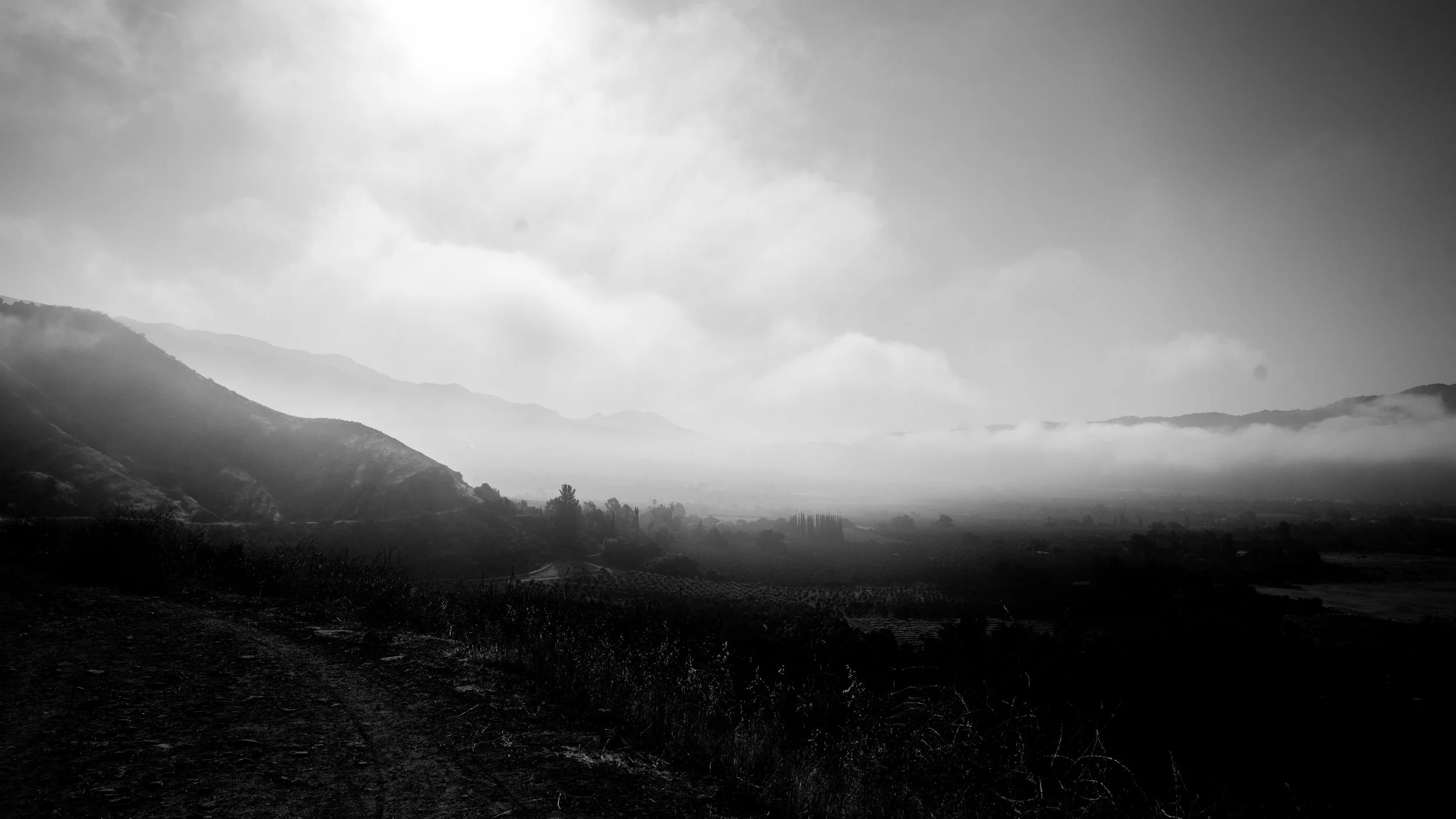 Shelf Rd-62.jpg