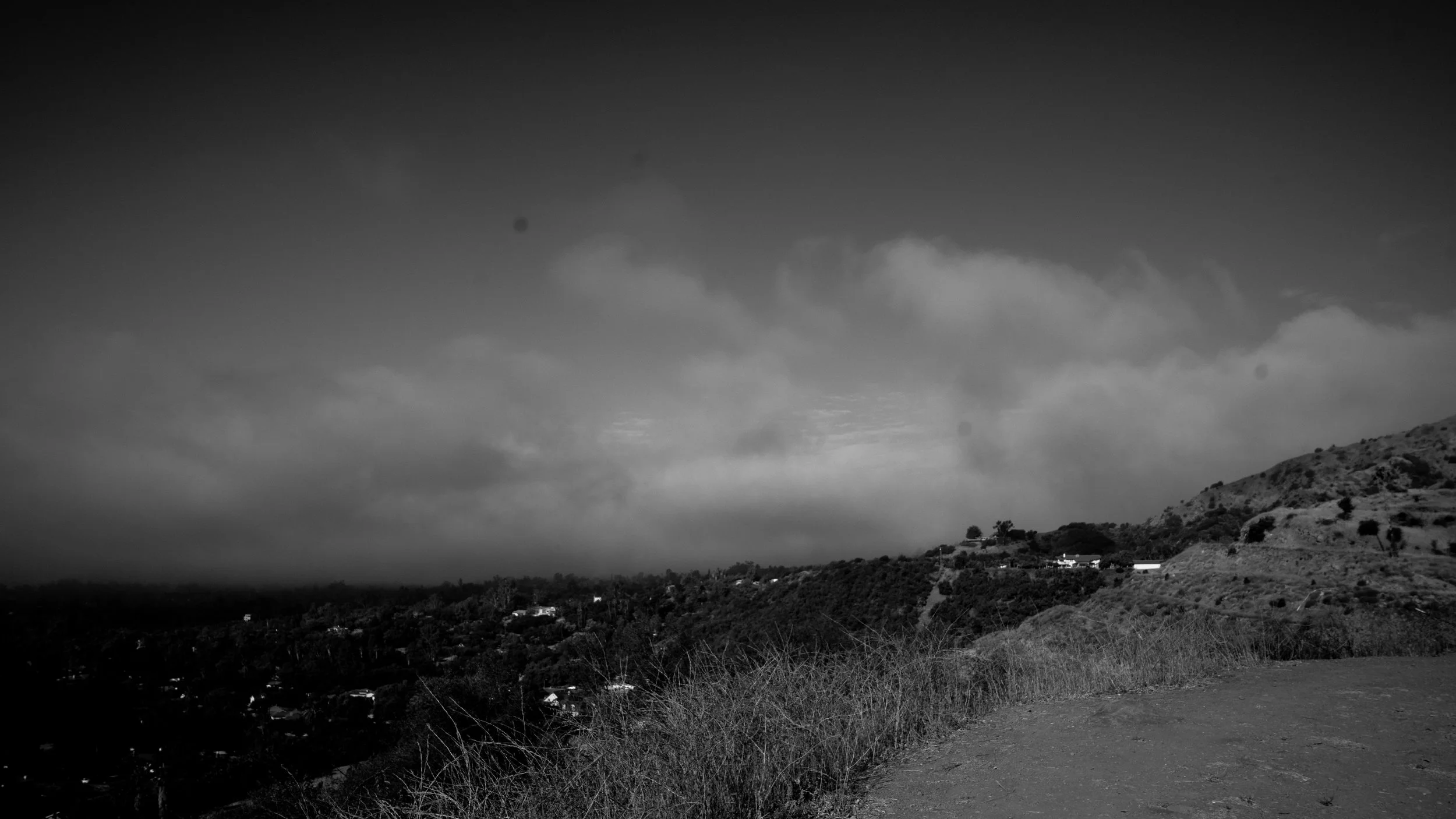 Shelf Rd-66.jpg