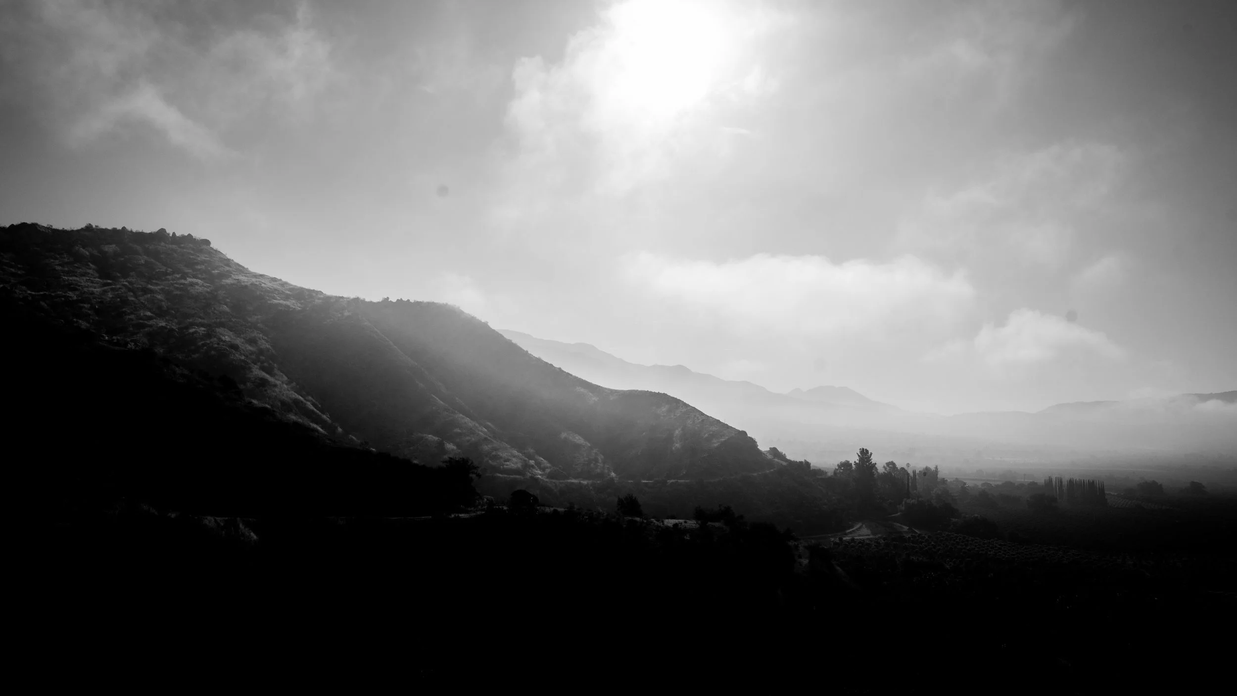 Shelf Rd-70.jpg