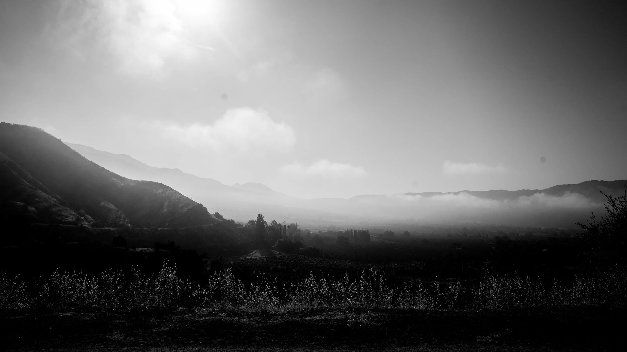 Shelf Rd-73.jpg