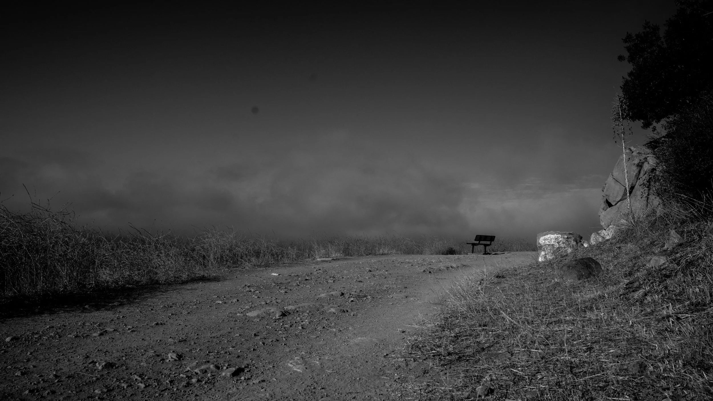 Shelf Rd-75.jpg