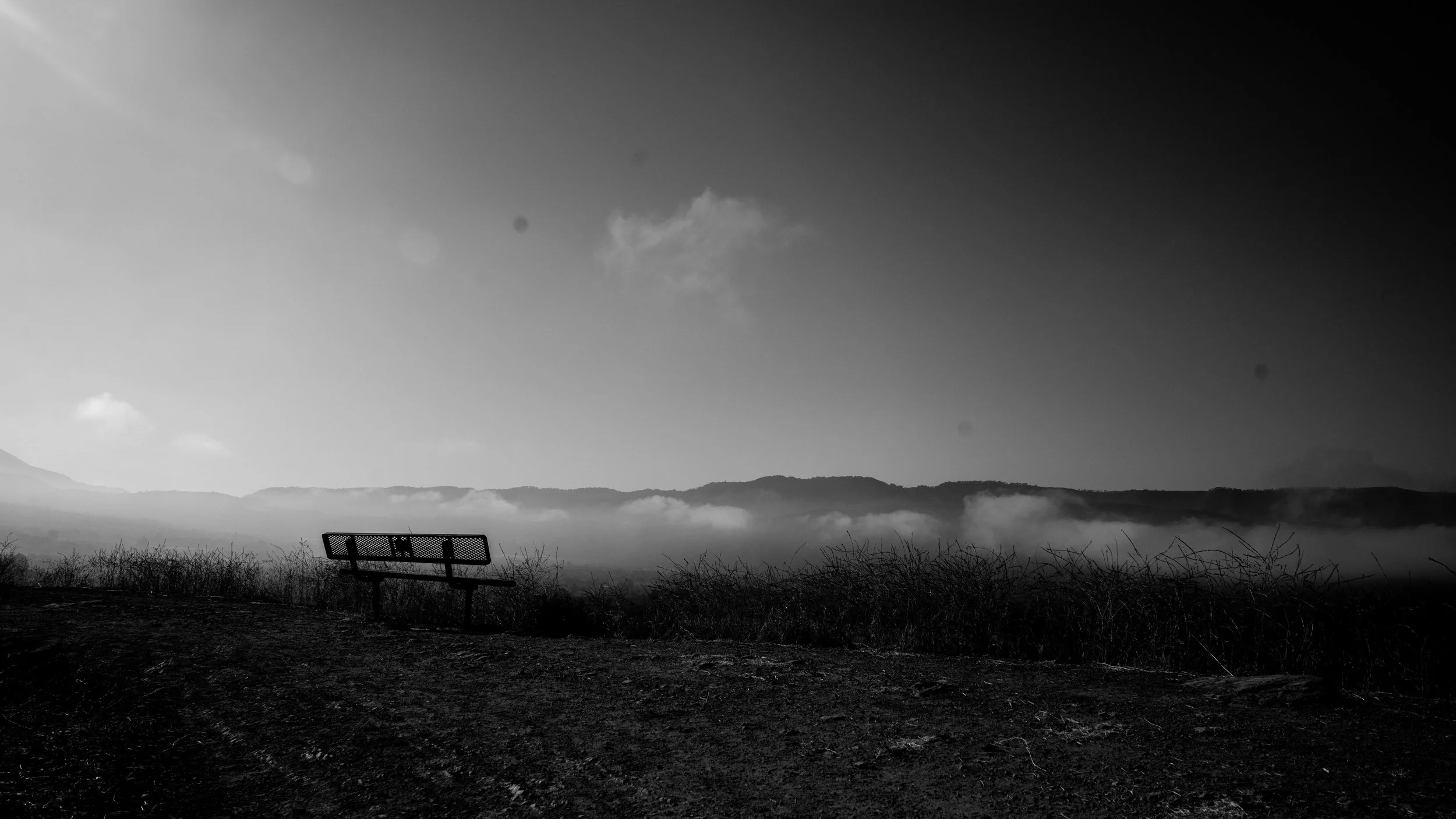 Shelf Rd-76.jpg