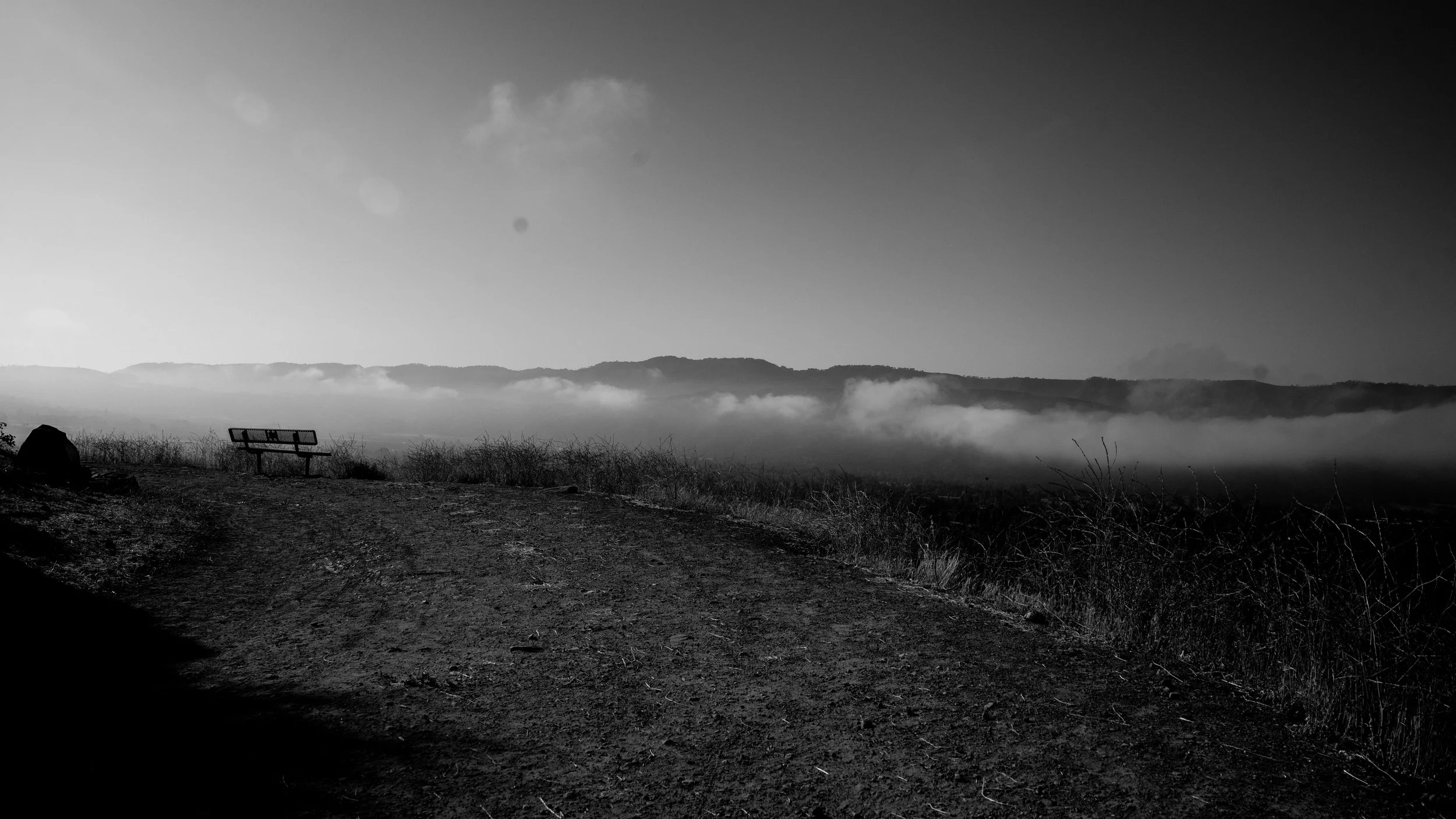 Shelf Rd-79.jpg