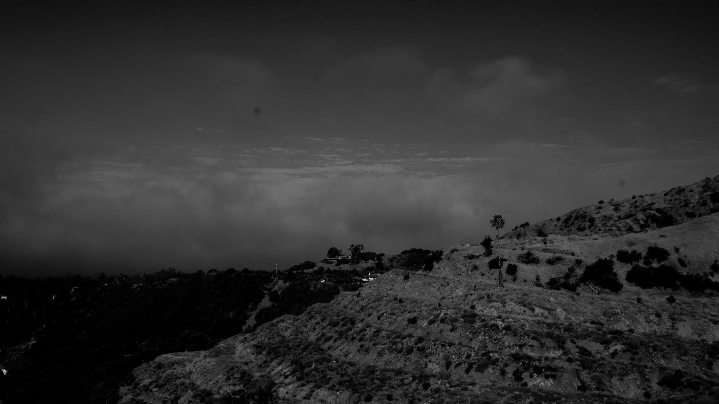Shelf Rd-81.jpg