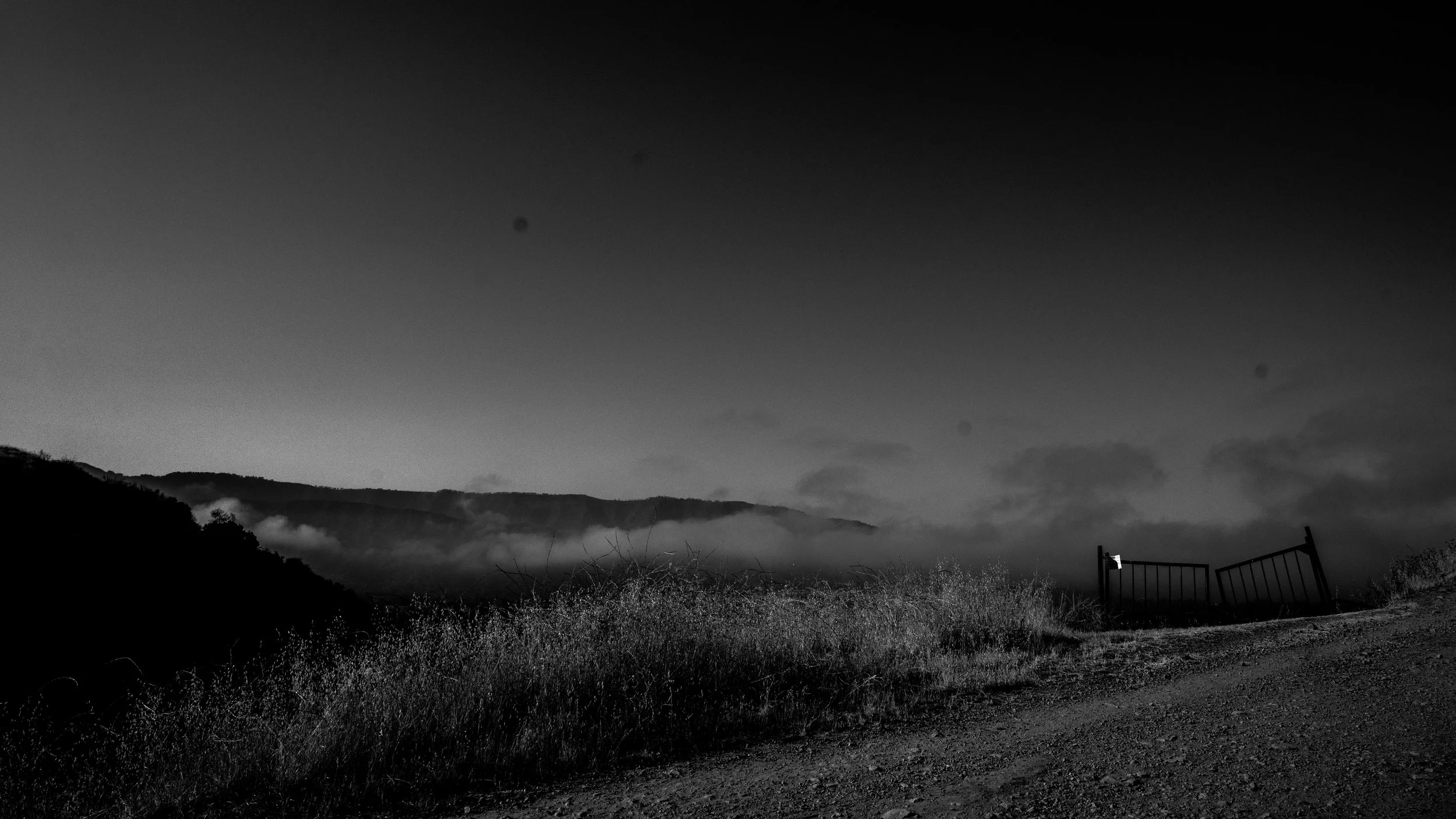 Shelf Rd-86.jpg