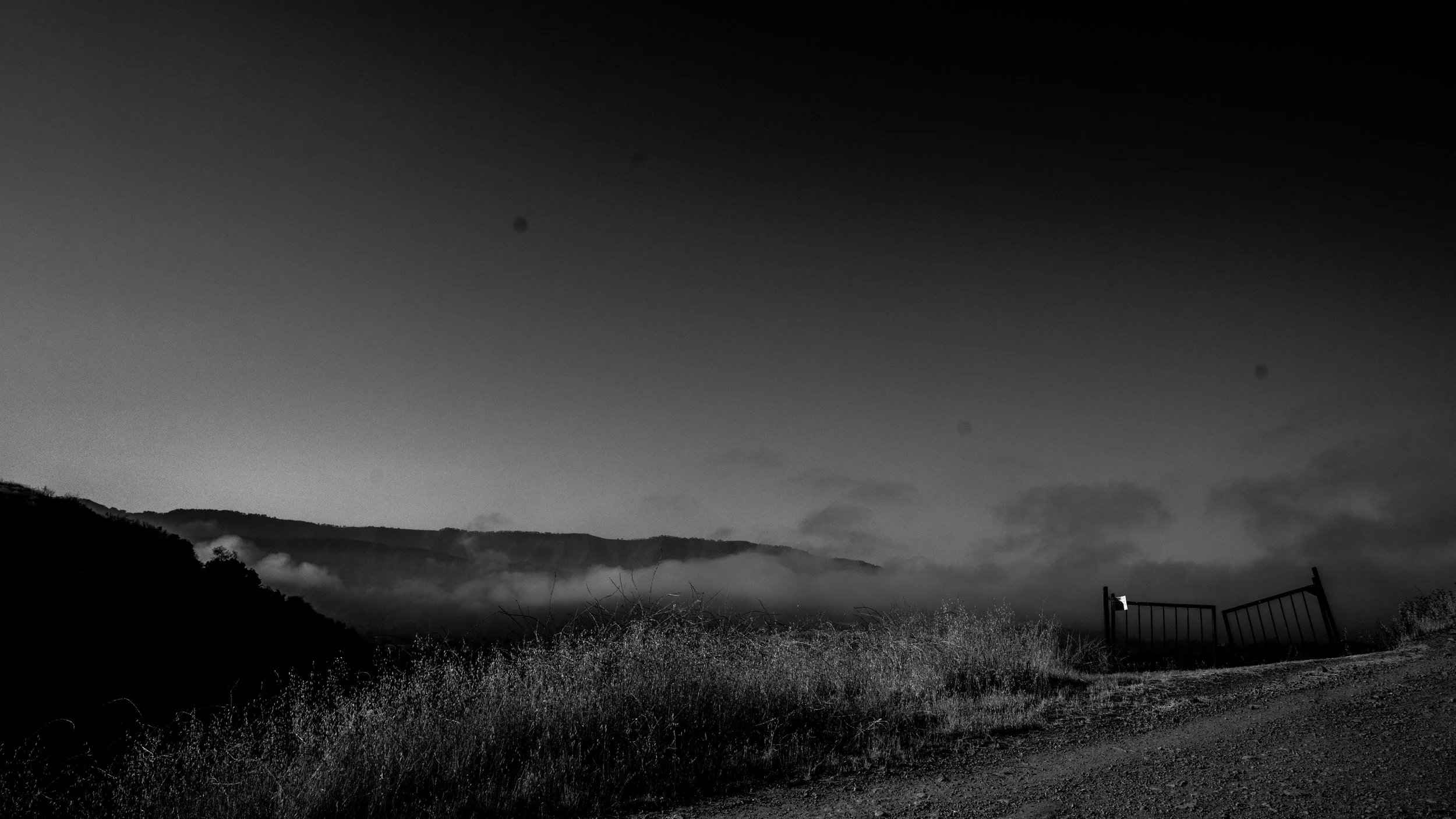 Shelf Rd-87.jpg
