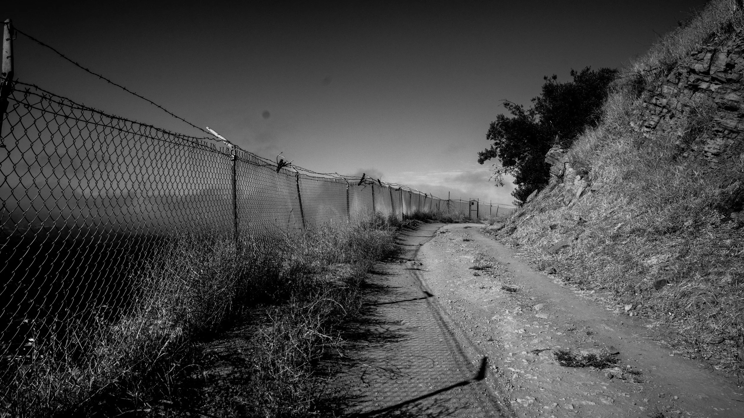 Shelf Rd-94.jpg