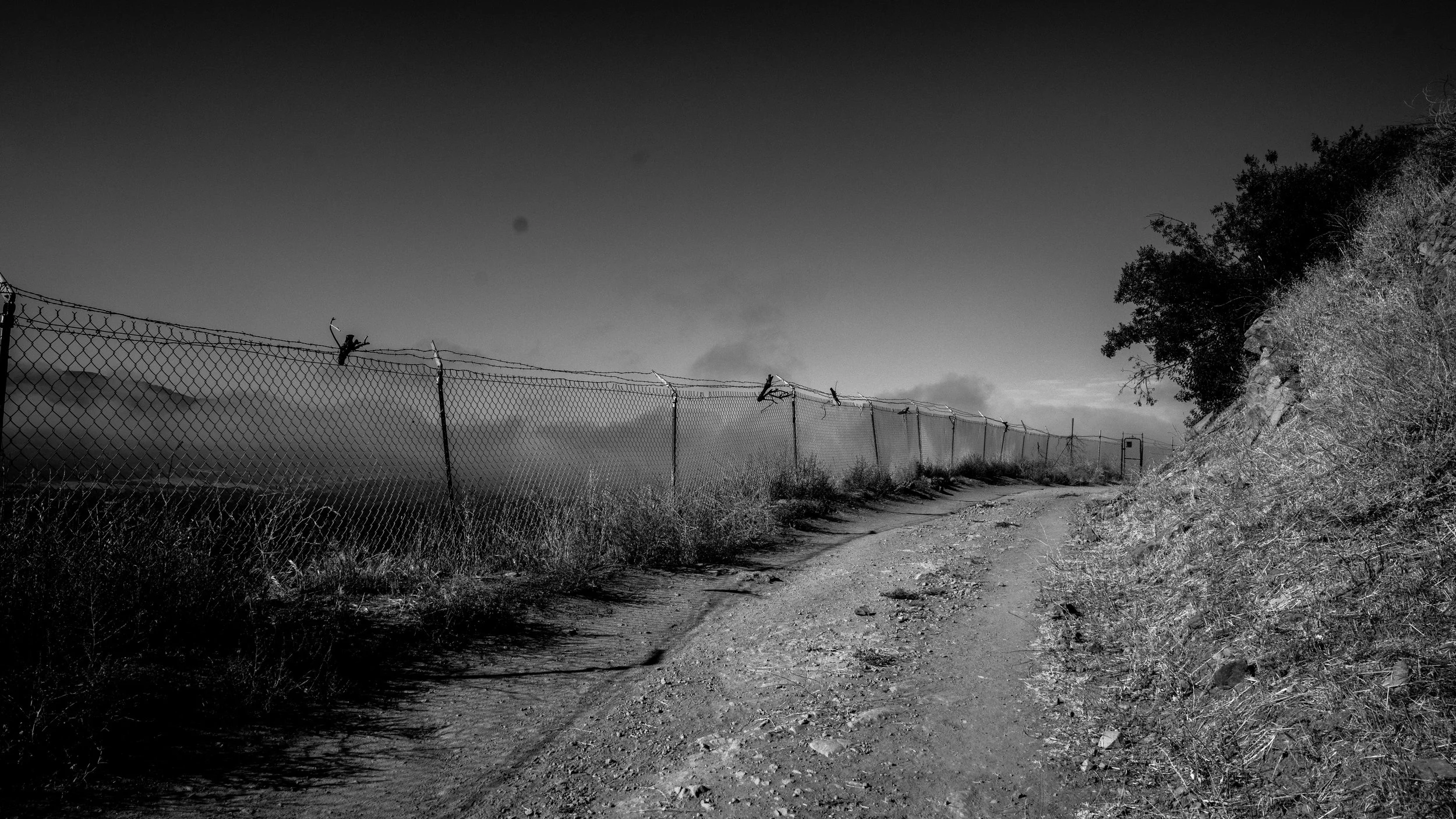 Shelf Rd-95.jpg