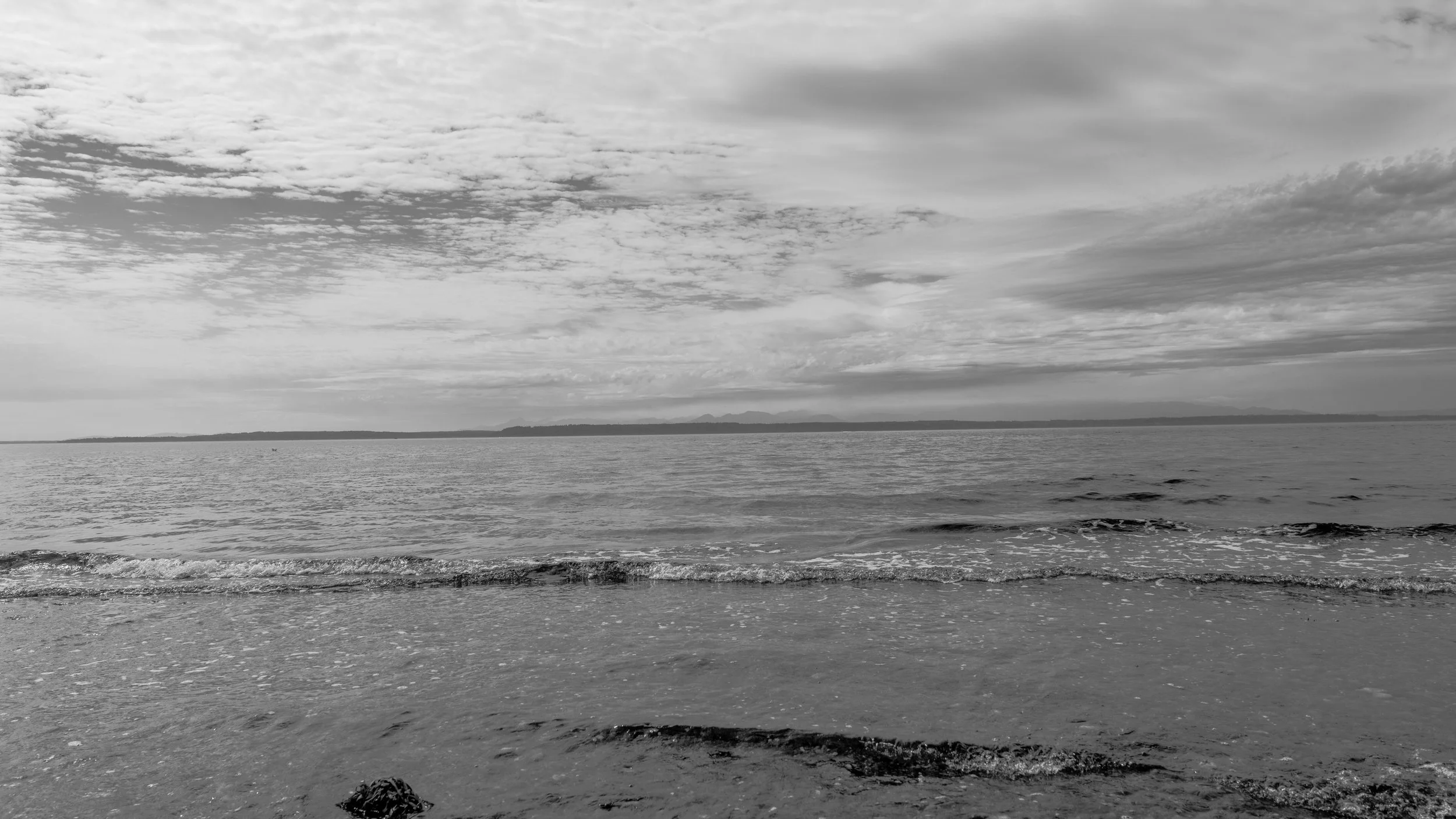 DSC06569.jpg