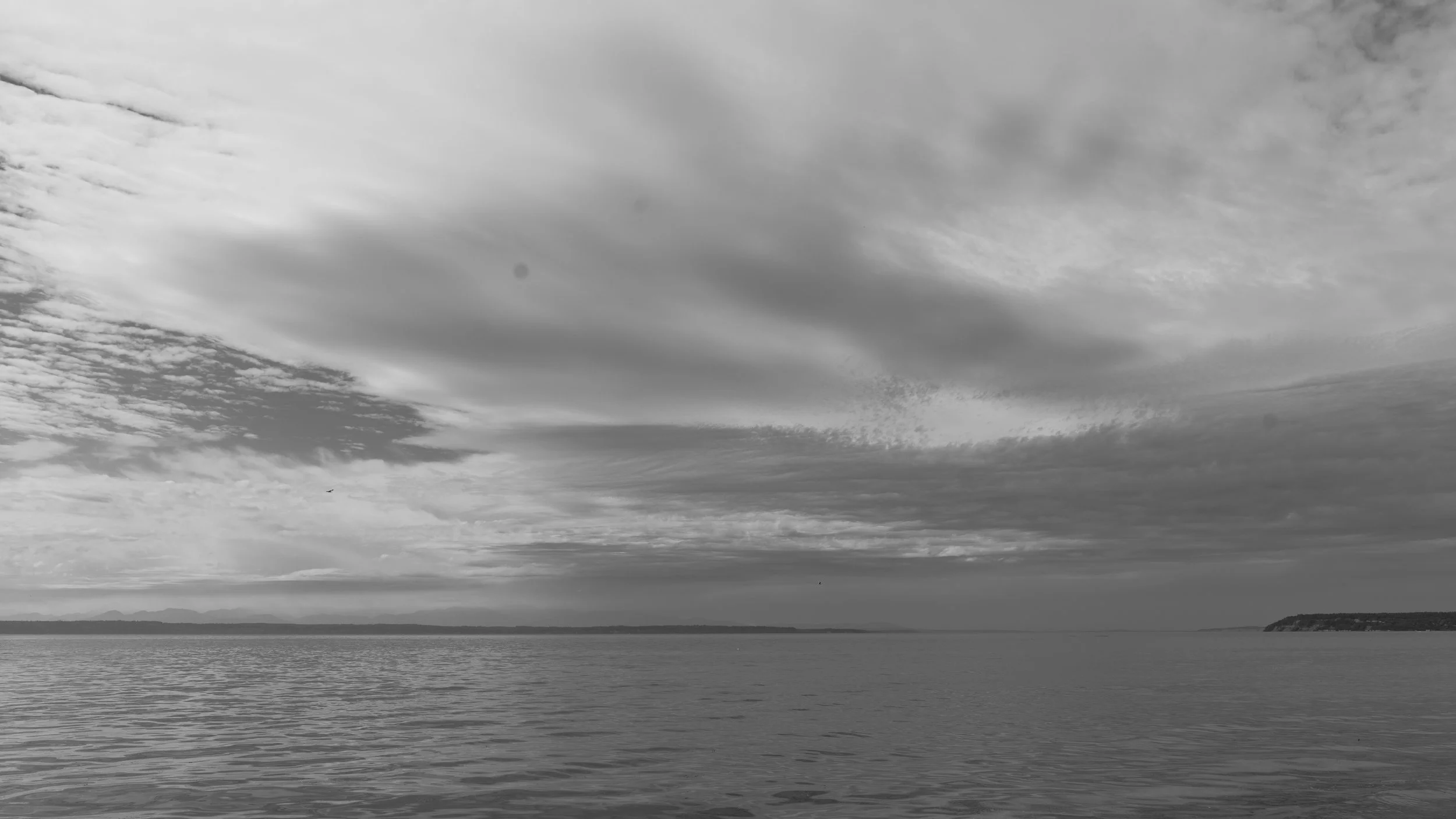 DSC06638.jpg