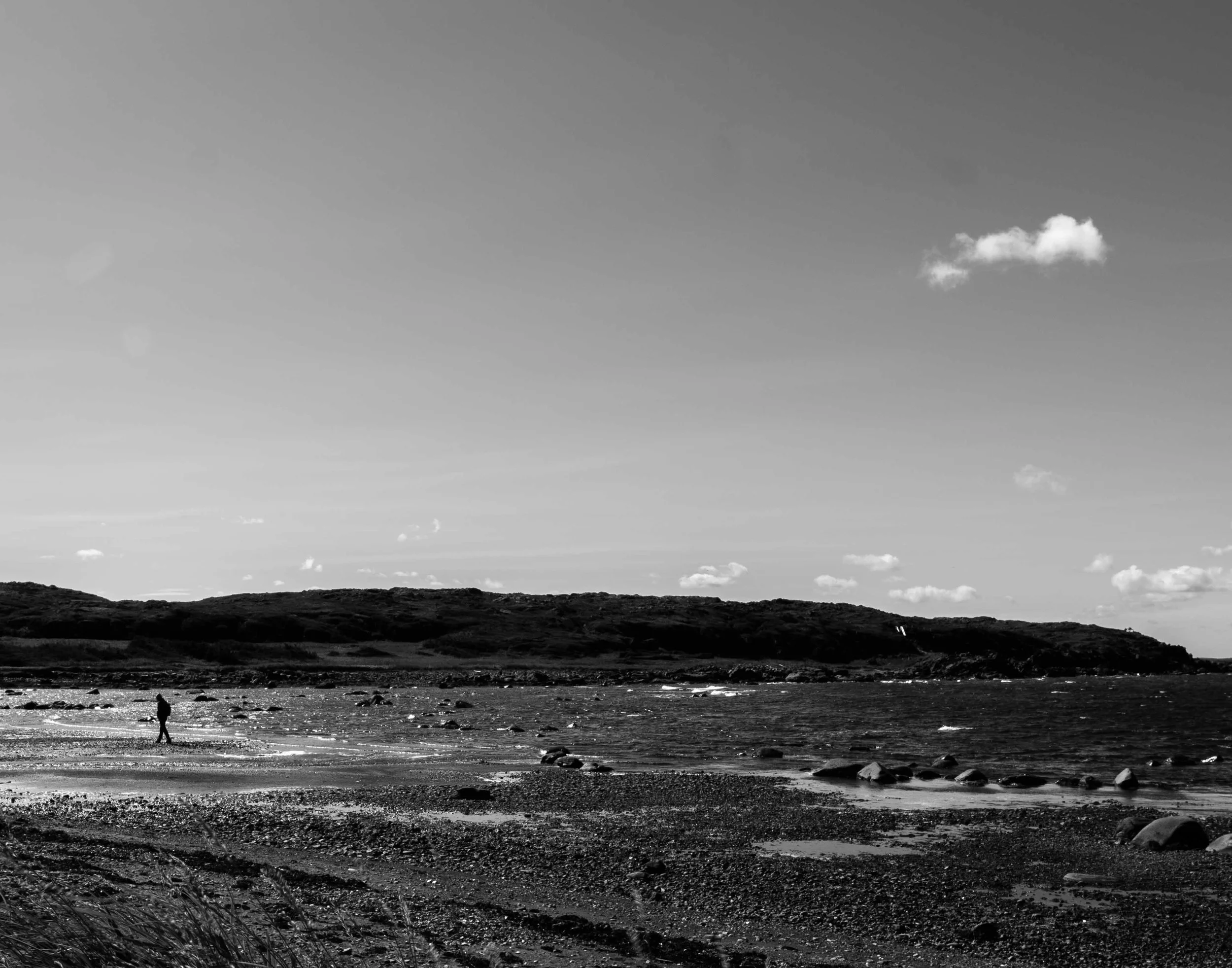 DSCF6881.jpg