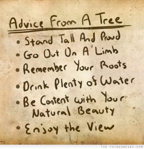 tree 2.jpg