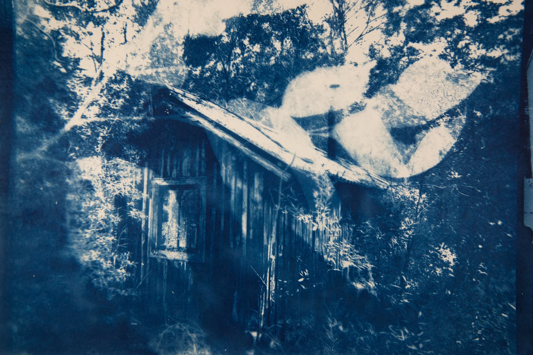 Craig_Cabin 4.jpg