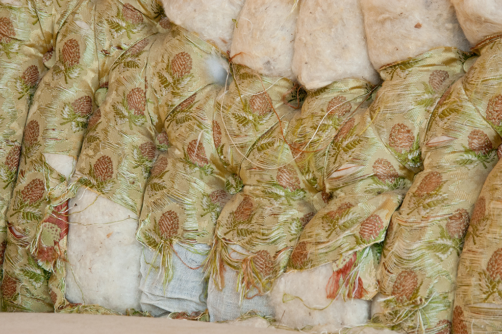 Flirtatious Curve.jpg