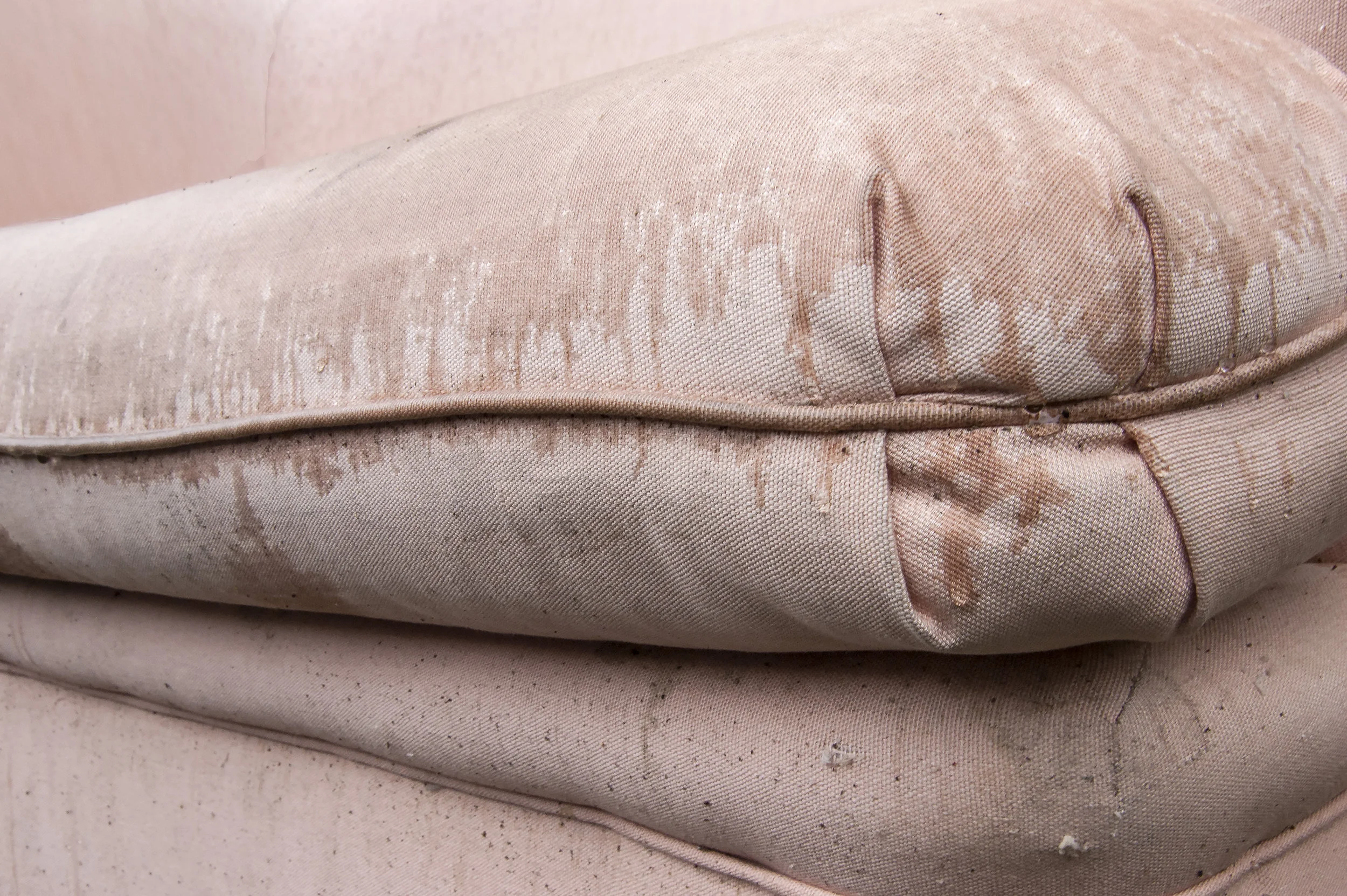 Craig-Relaxed Modernism.jpg