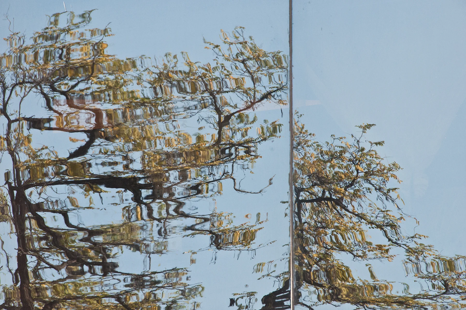 Craig_ Refraction (Beijing).jpg