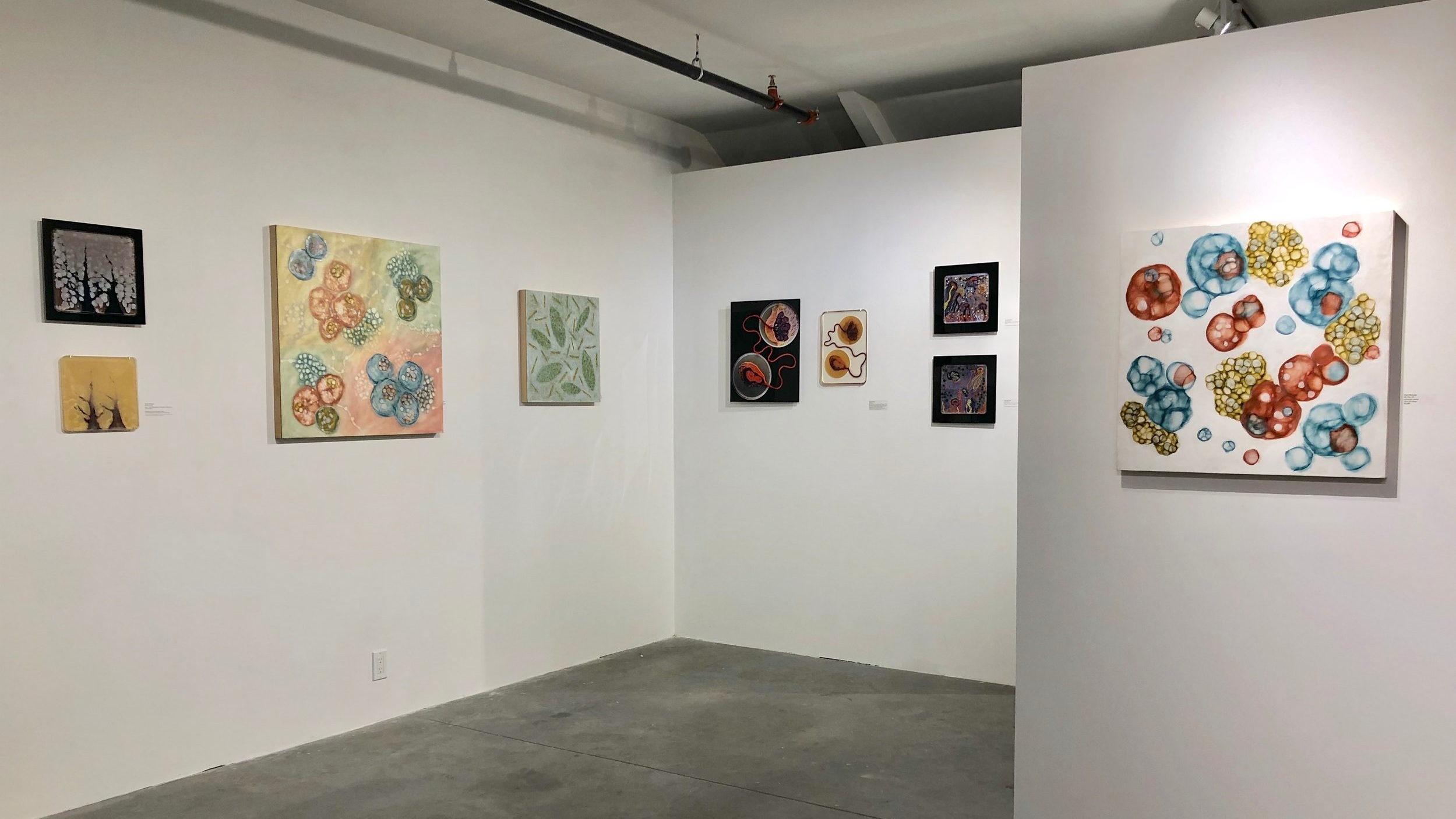    MICROBIAL VISIONS  , at  Fountain Street , work by Kay Hartung, Maria Peñil Cobo and Mehmet Berkmen, January – February, 2019 