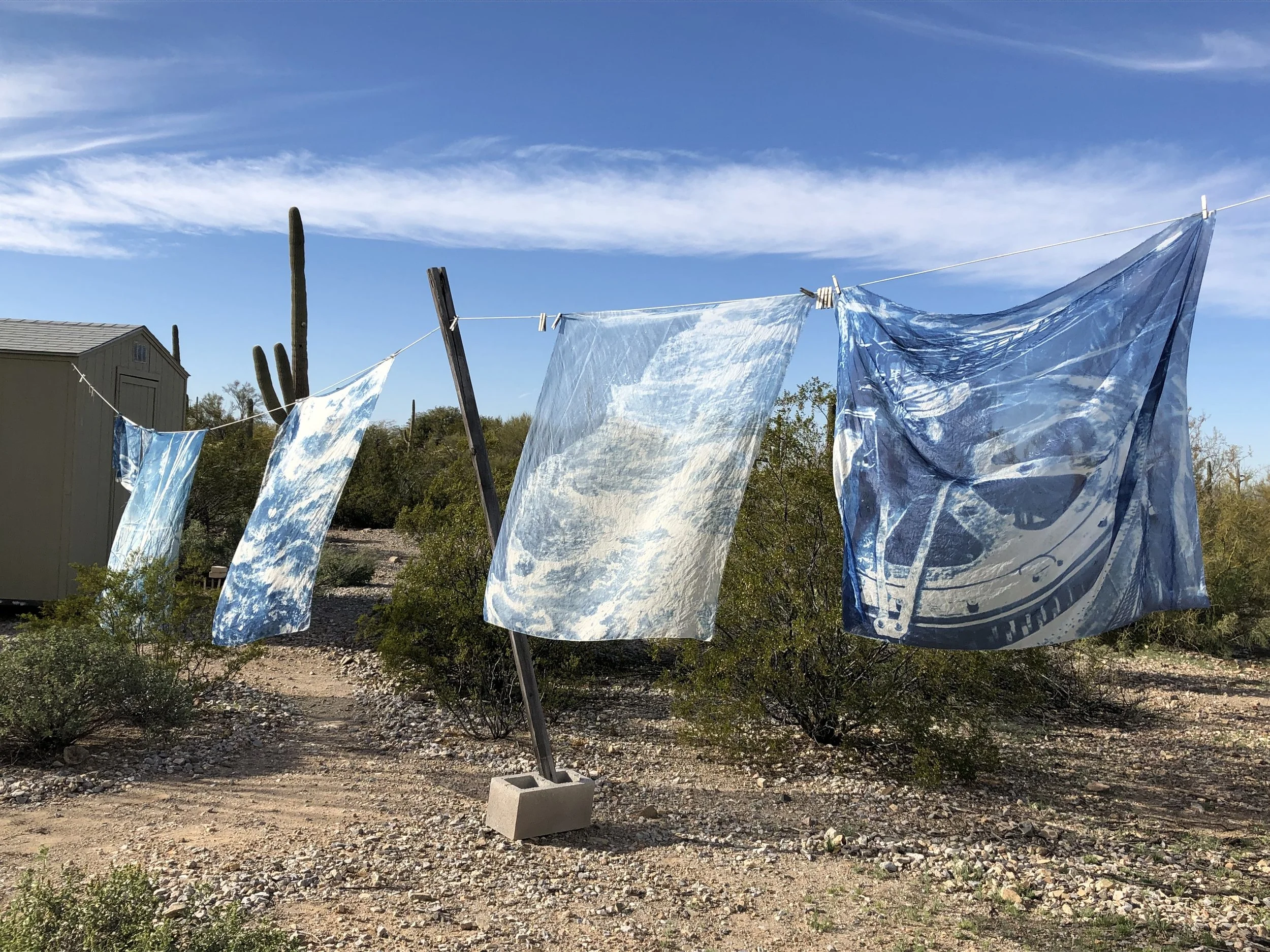Watching the cyanotypes billow as they dried in the breeze was mesmerizing, leading me to look for ways to recreate this feeling “in captivity” so to speak, indoors in a gallery setting.