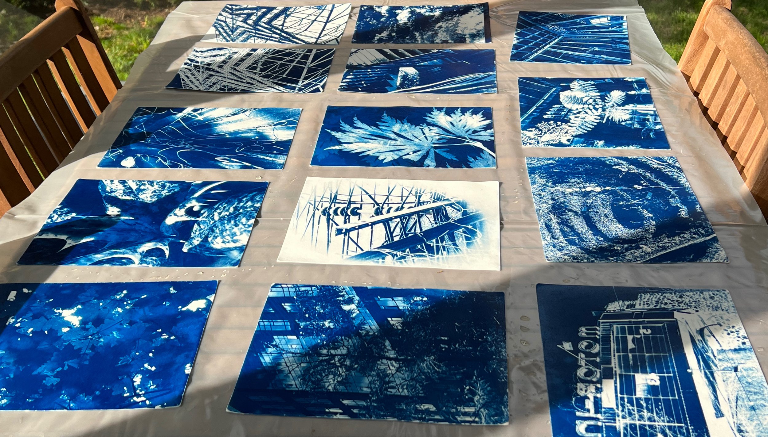 20 of the best cyanotype ideas - Gathered