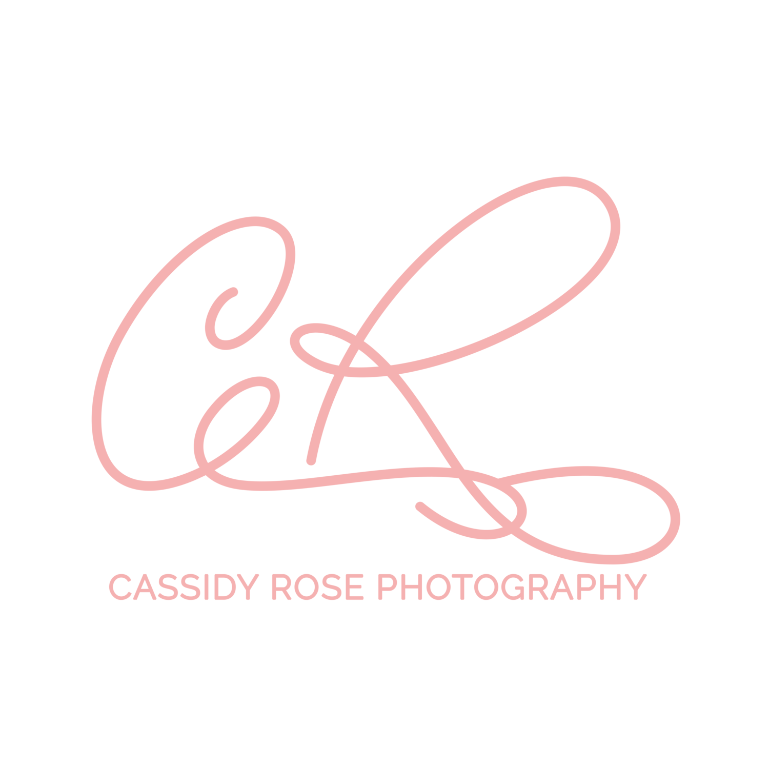 Cassidy Rose Photography