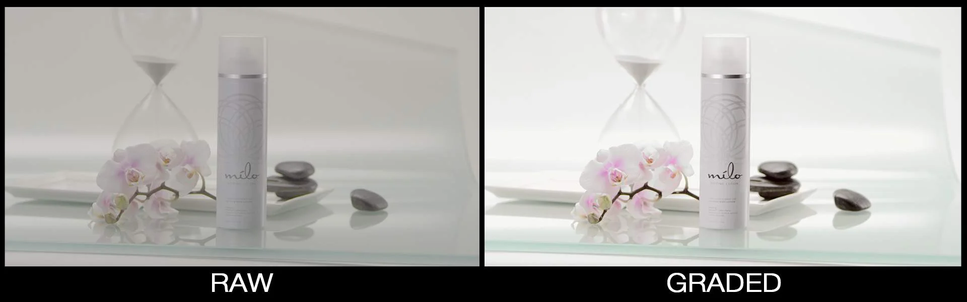 Milo-Before-After-Product-1-Hi-Res.jpg