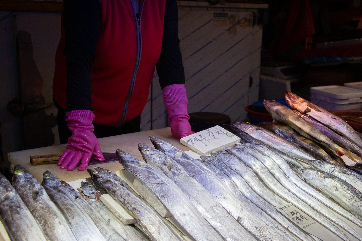 Korea-Fish.jpg