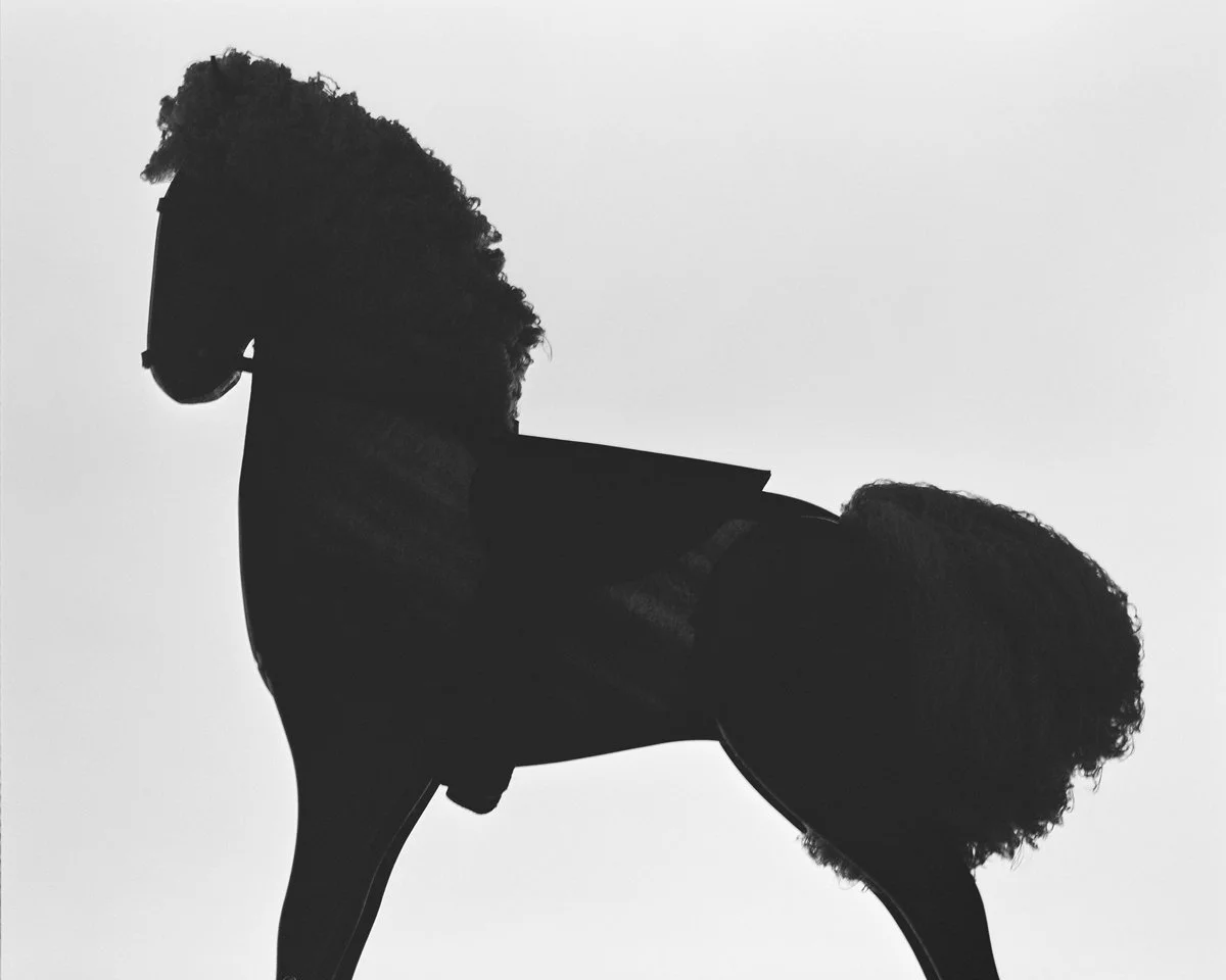 Silhouette.jpg