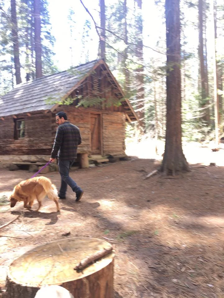 Big Ed Tree Trail