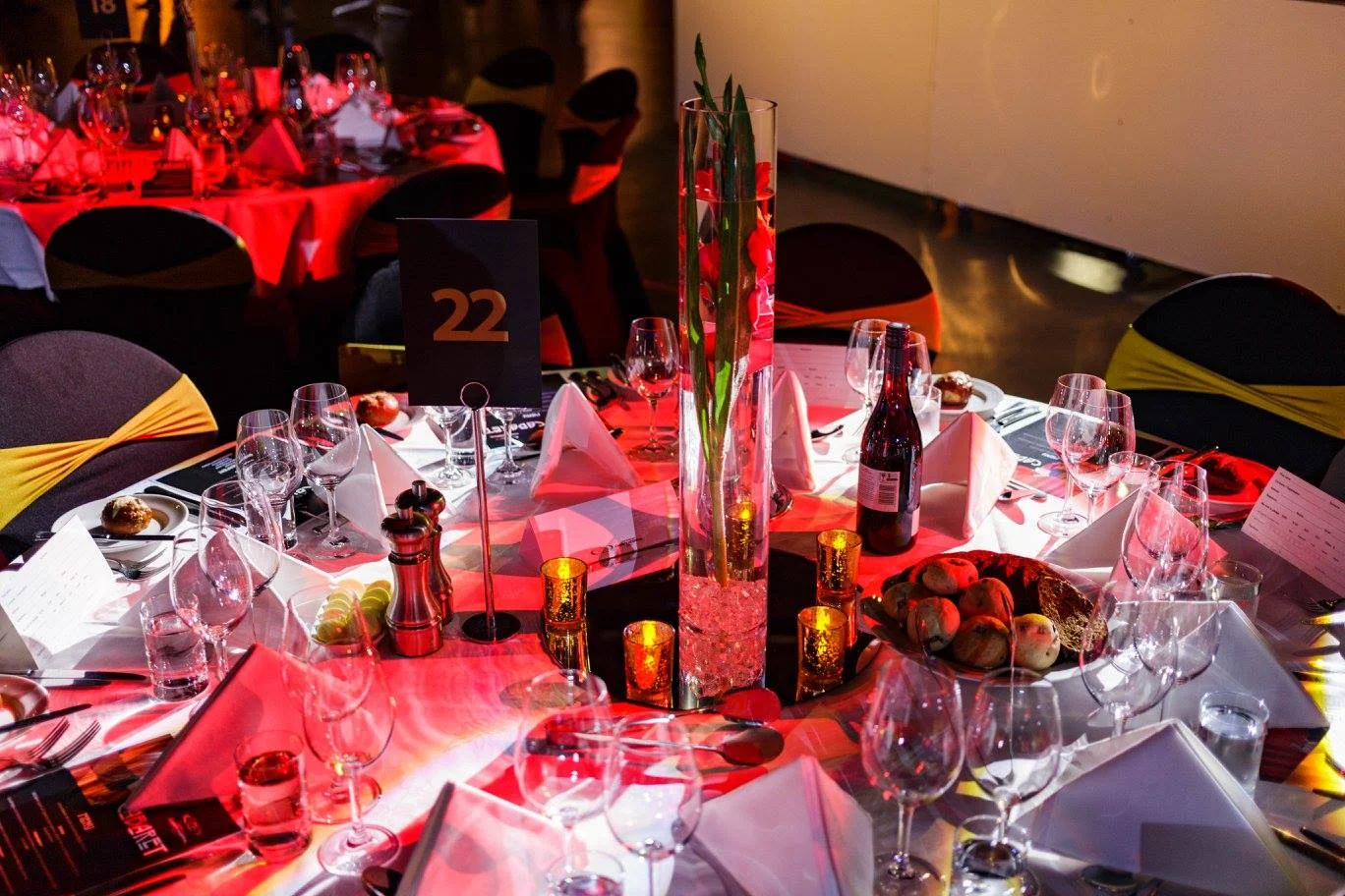 Christchurch Charity Hospital Cabaret 2017