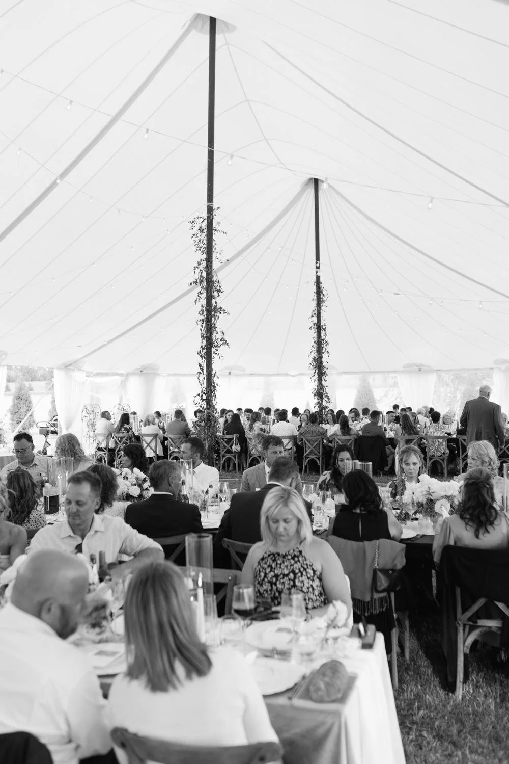 Marquee Wedding Christchurch